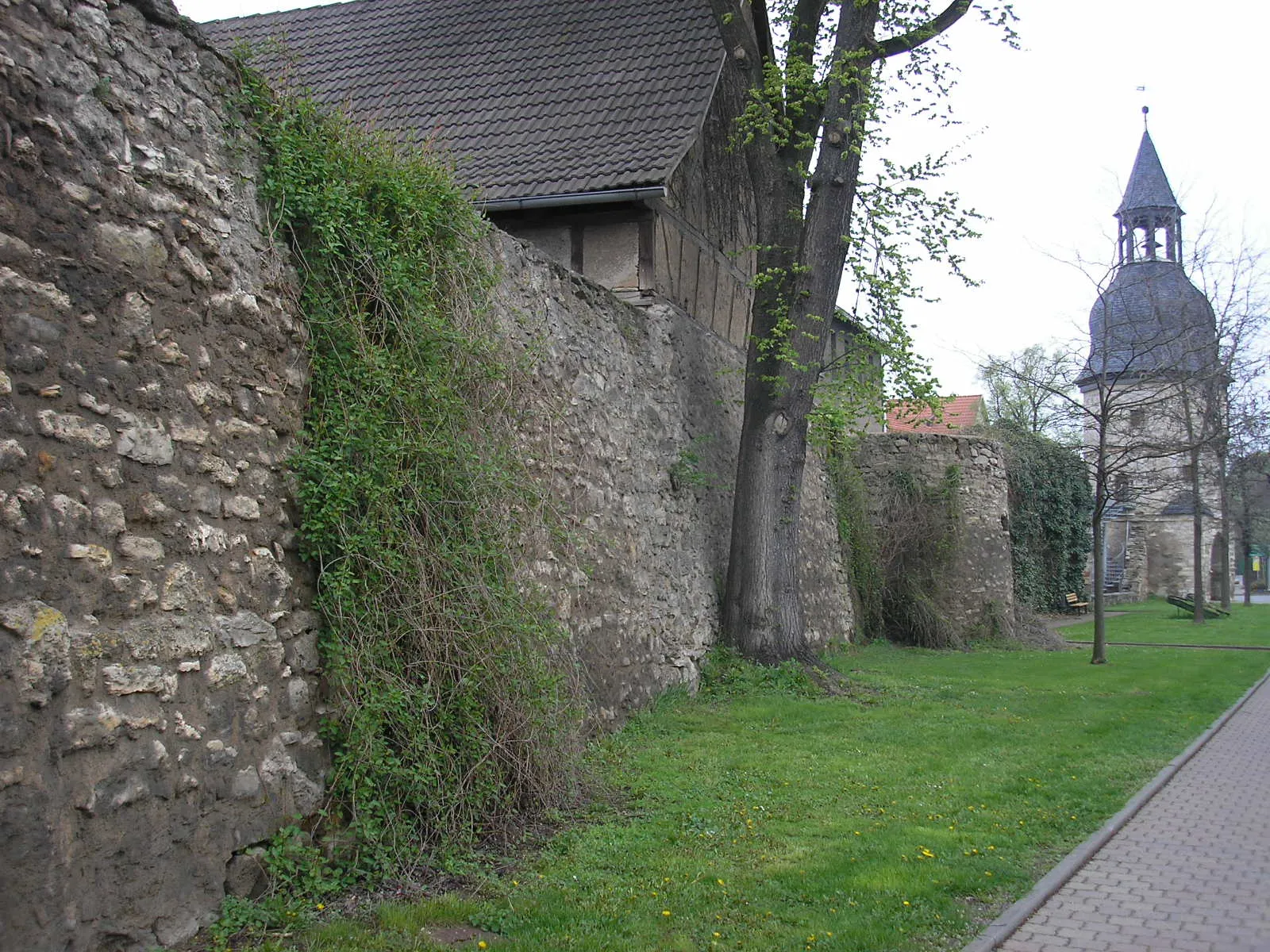 Photo showing: Die östliche Stadtmauer von Bad Tennstedt (Thüringen).
