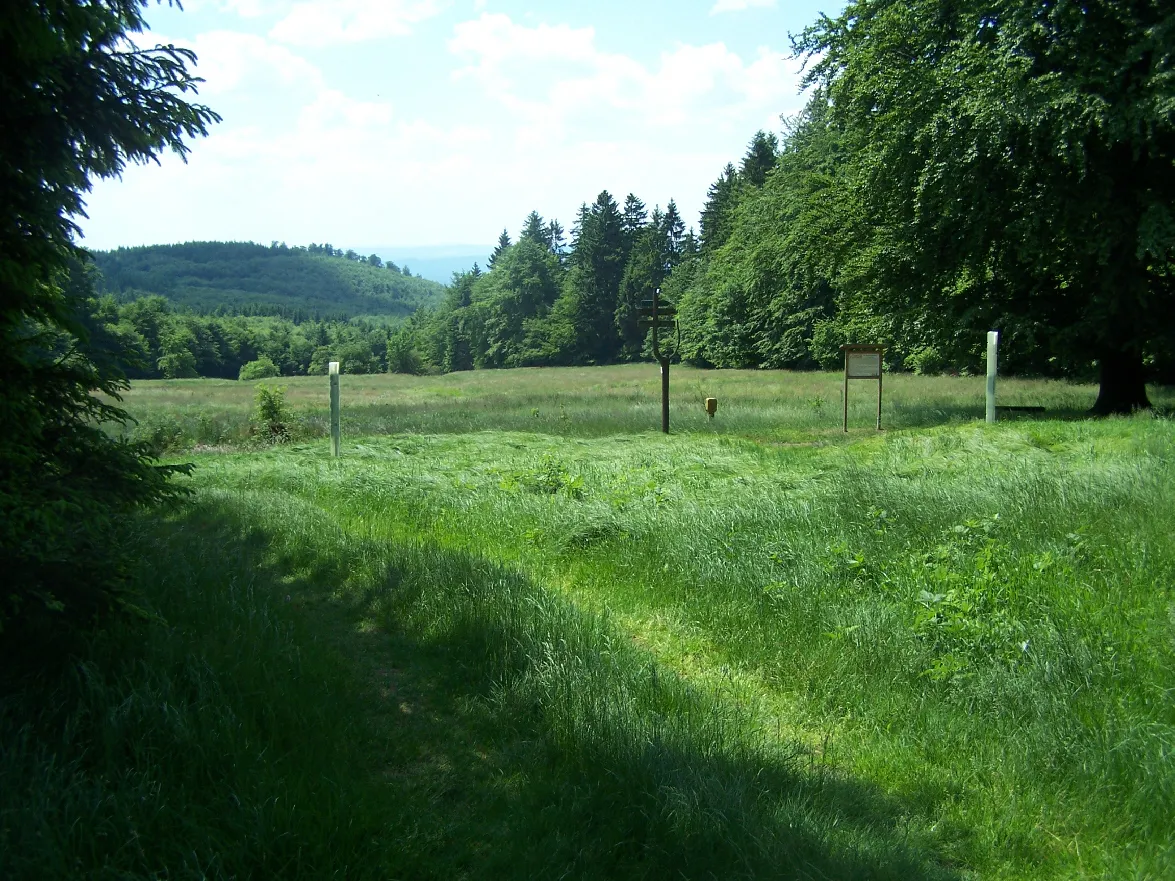 Photo showing: The hayfield "Glasbach" a location at the Rennsteig trail, source of the Ruhla settlements.