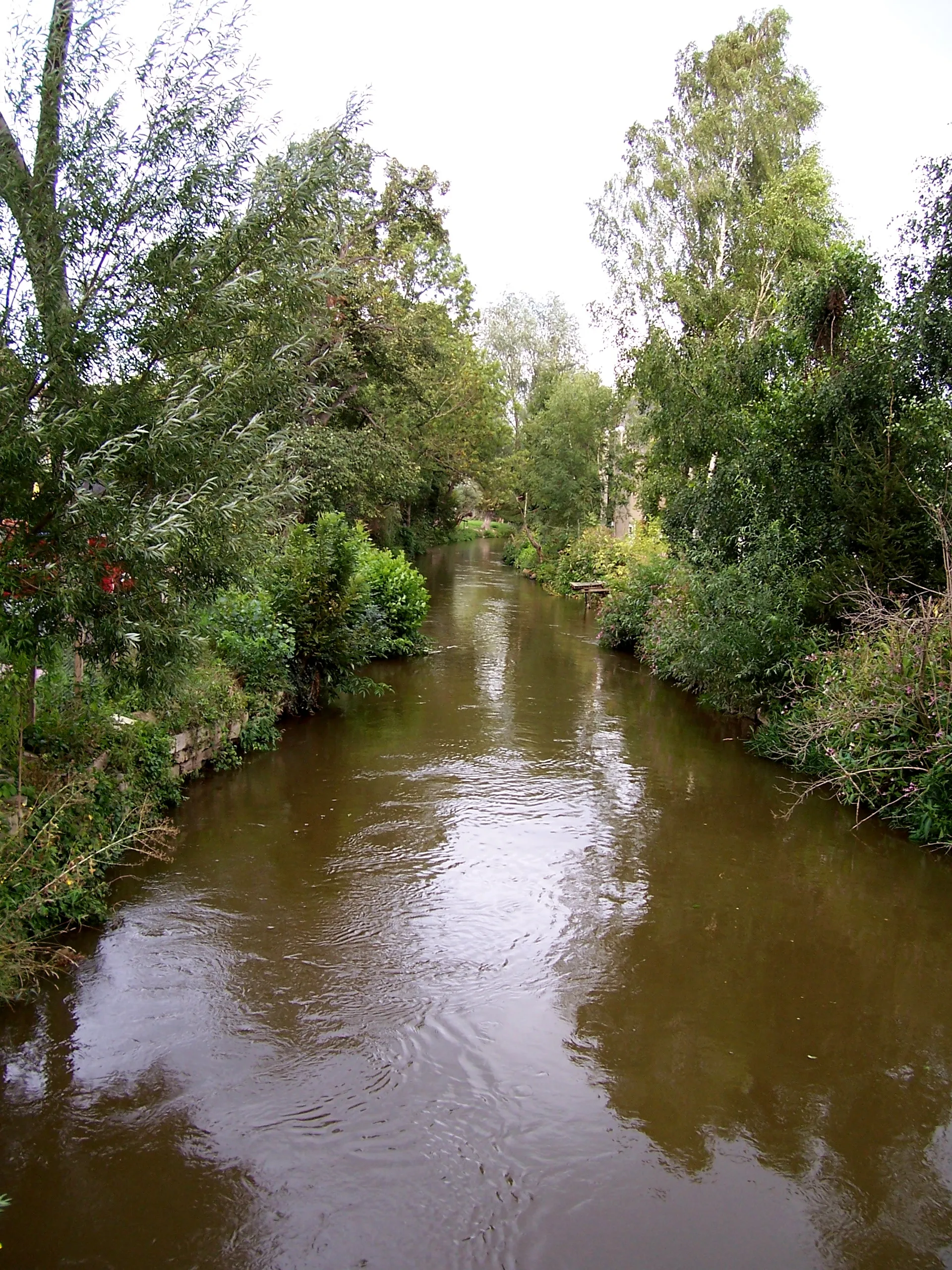 Photo showing: Elstermühlgraben bei Elstertrebnitz (Deutschland)