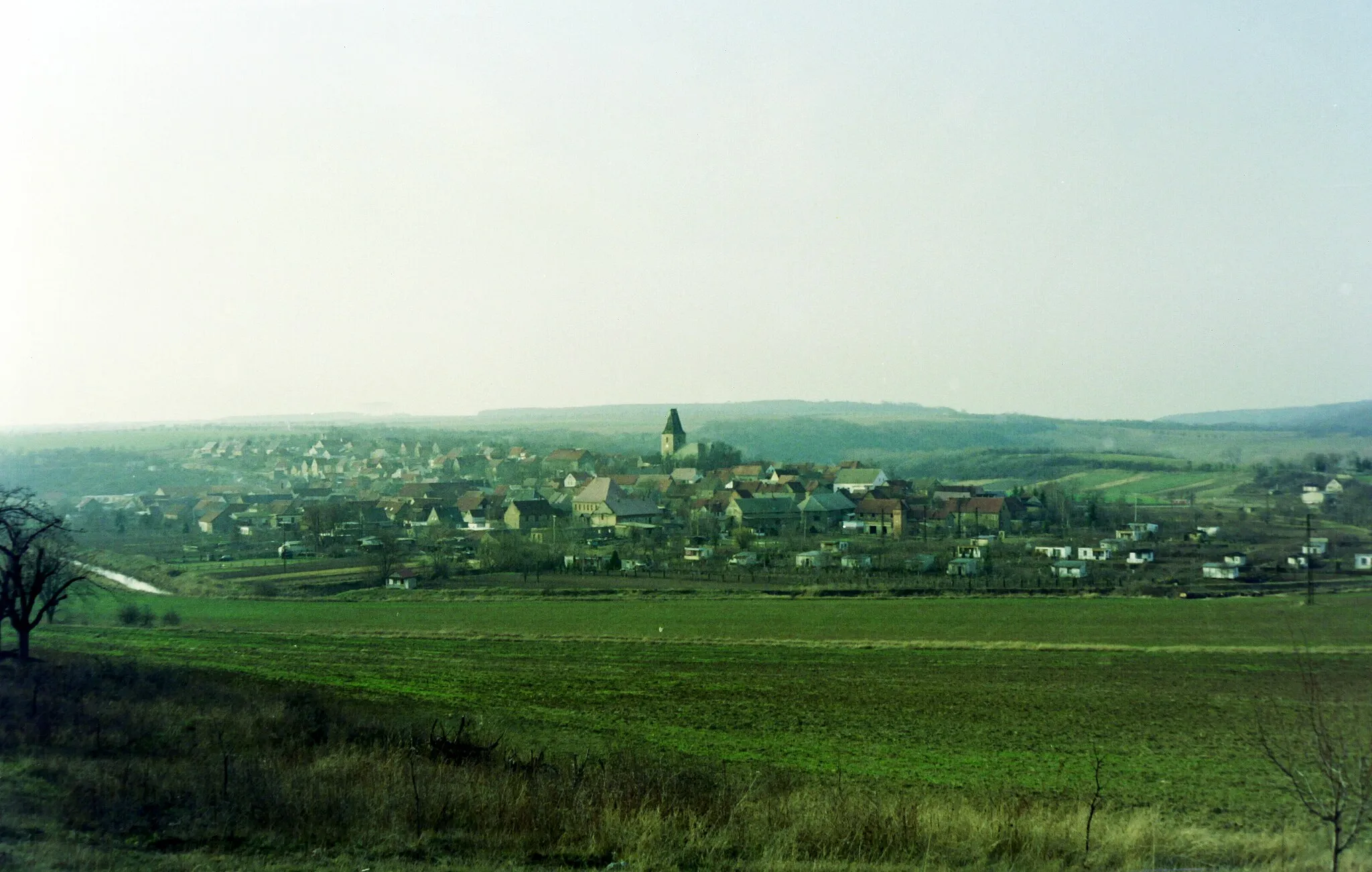 Photo showing: Bilzingsleben, 1992