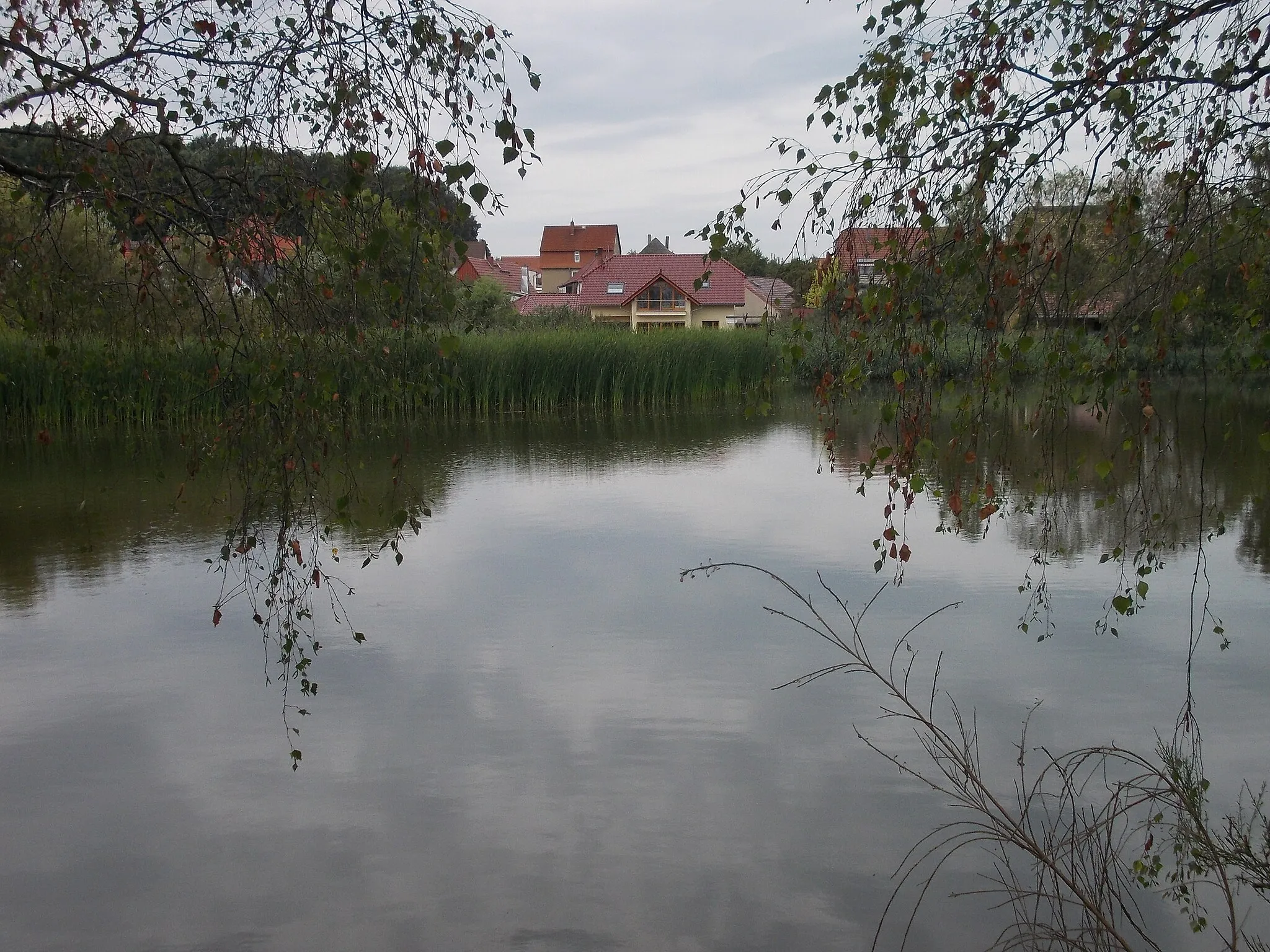 Photo showing: The village of Haselbach behind the Rittergutsteich pond (district of Altenburger Land, Thuringia)