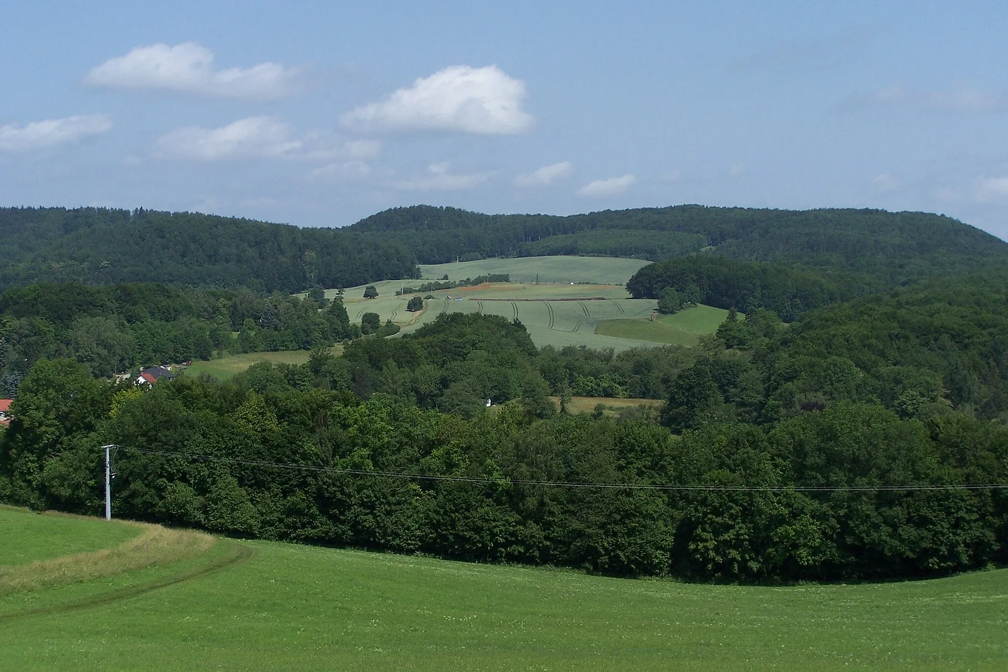 Photo showing: Der Ruppertskopf am Rennsteig, davor die Waldwiesen oberhalb von Förtha-Epichnellen.