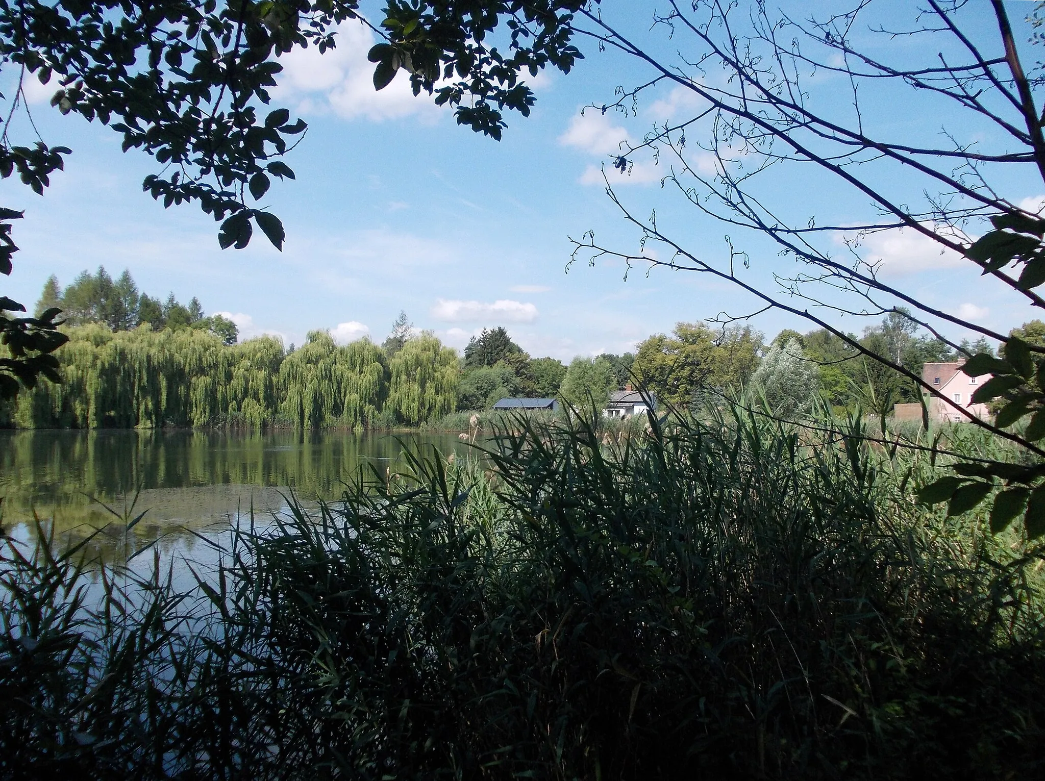 Photo showing: Pond in Osterfeld (district: Burgenlandkreis, Saxony-Anhalt)