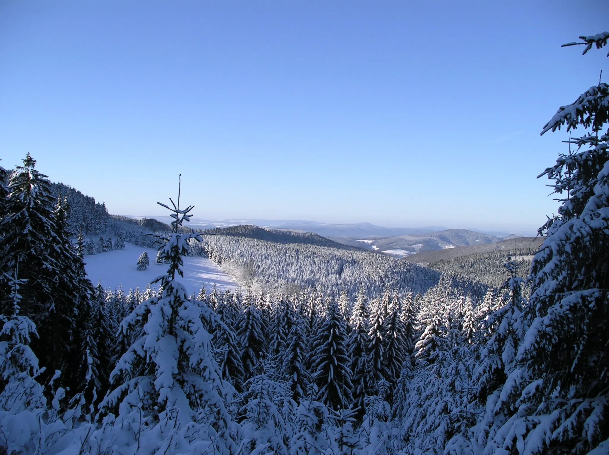 Photo showing: Verschneiter Winterwald oberhalb von Struth-Helmershof, Floh-Seligenthal, Thüringen, Deutschland