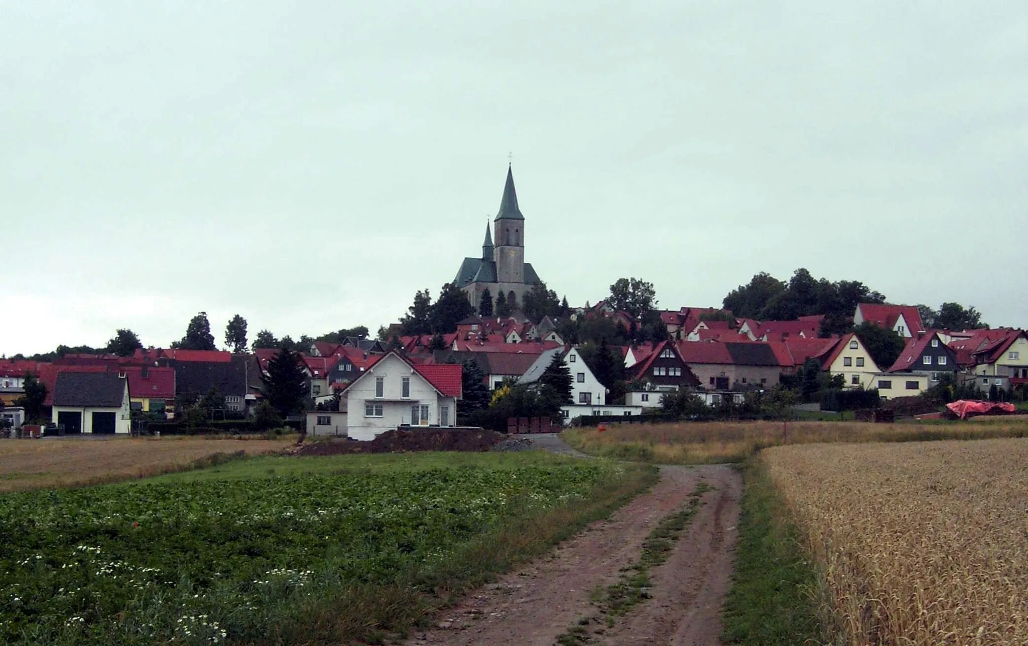 Photo showing: Eichsfelder Dom, Katholische Kirche St. Alban in Effelder, Eichsfeld, Thüringen, Deutschland