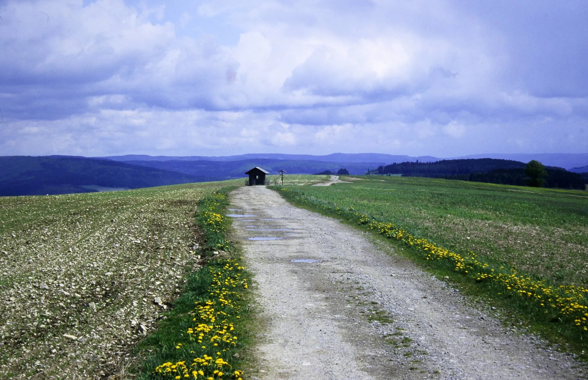Photo showing: Dingsleben, 1997