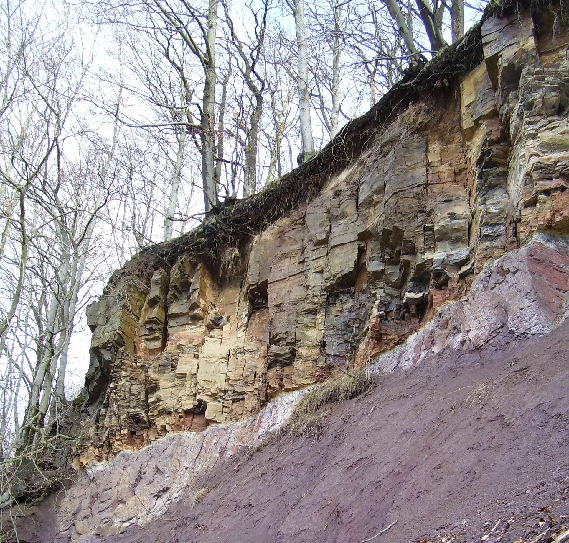 Photo showing: die "lange Wand" in Ilfeld (Harz), vom Wiki-User J C D selbst erstellt und gemeinfrei J C D 23:00, 29. Apr 2006 (CEST)