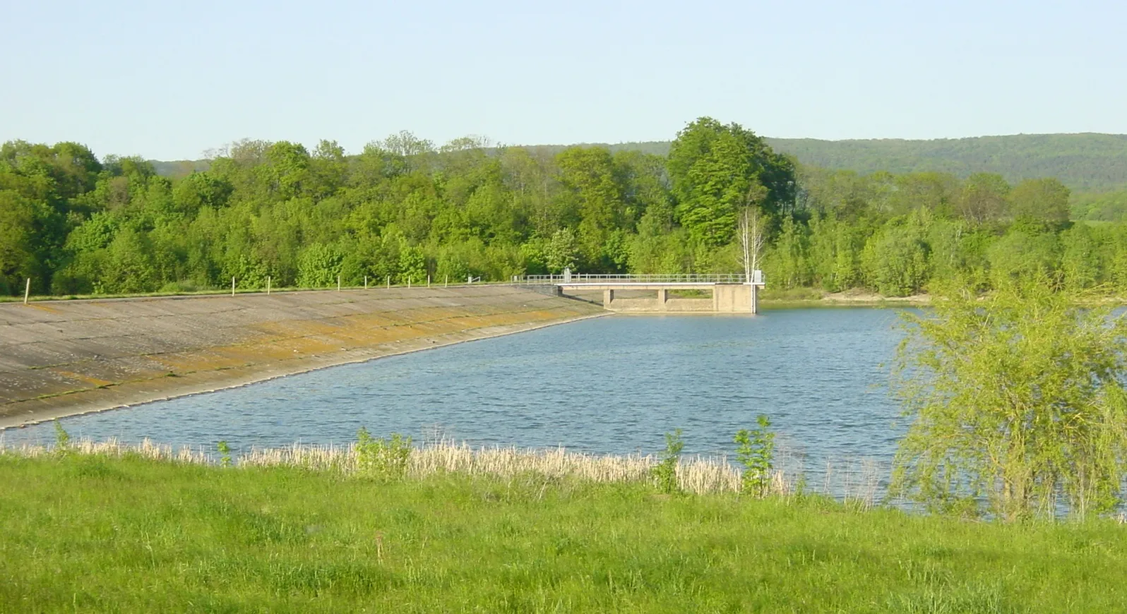 Photo showing: Staudamm und Teil des Stausees Talsperre Hopfgarten, Thüringen