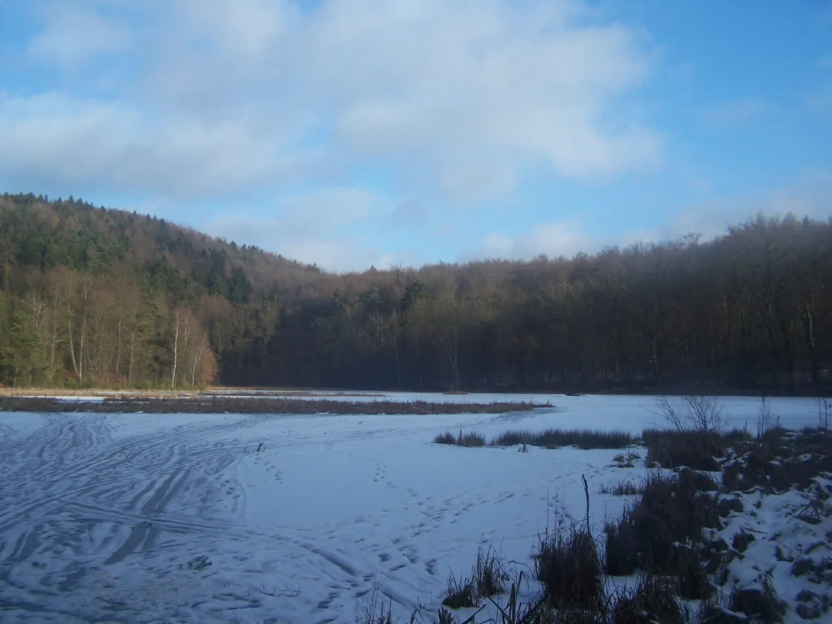 Photo showing: The lake Albertsee.