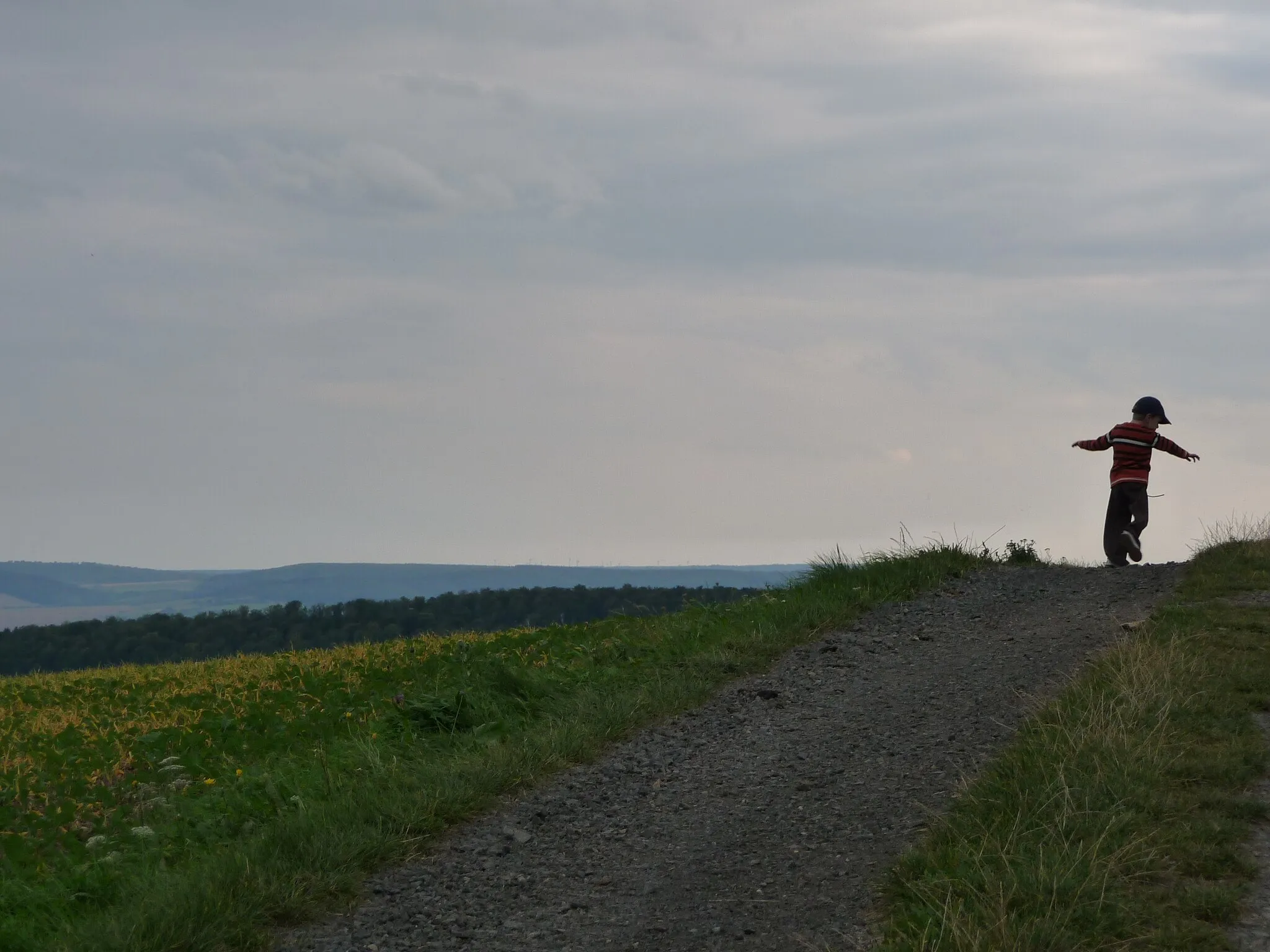 Photo showing: Buchholz im Harz September 12'