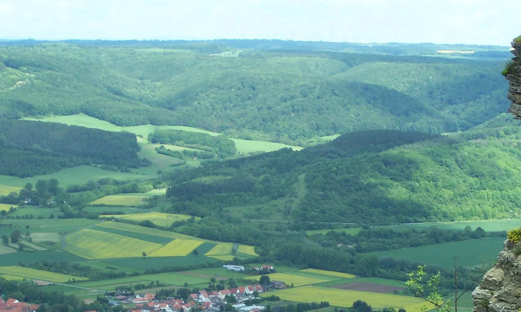 Photo showing: The forest Treffurter Stadtwald in Thuringia.