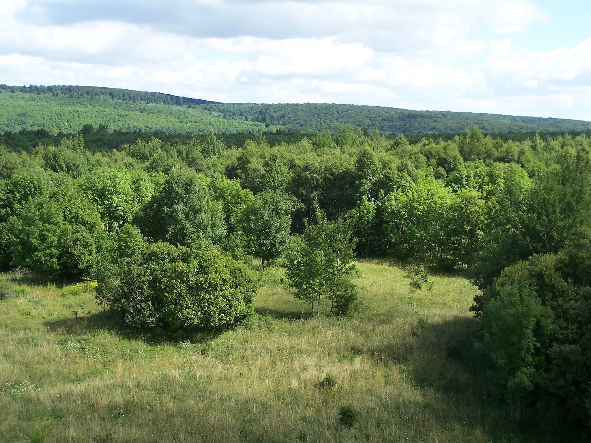 Photo showing: Aussichtsturm Hainichblick