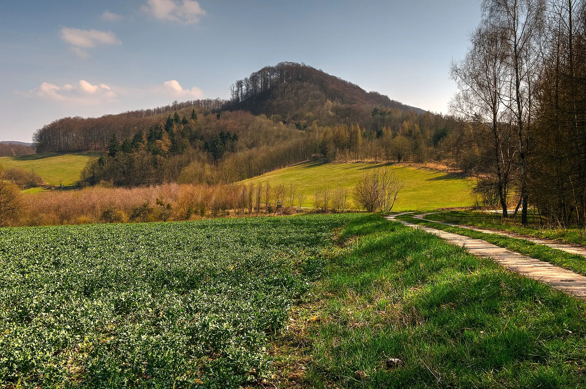 Photo showing: Keudelskuppe Blick von West, der Verlauf des Kolonnenweges rechts ist bis in den Wald unterhalb die Keudelskuppe erkennbar