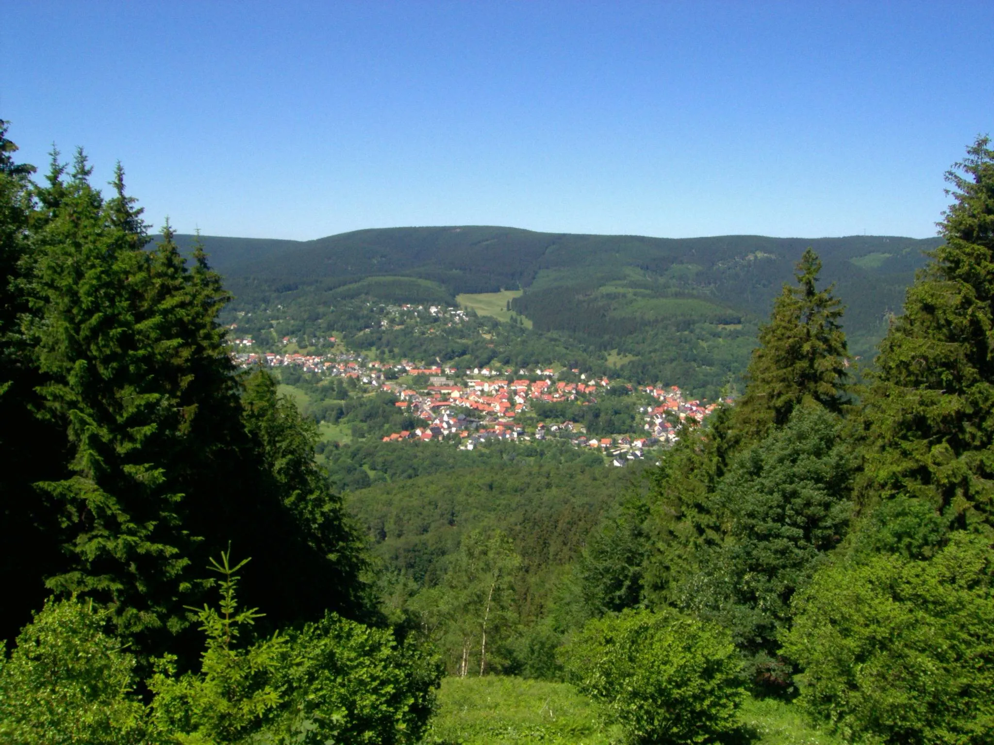 Photo showing: Der Große Beerberg (983 m), höchster Berg des Thüringer Waldes von Süden; im Vordergrund Suhl-Goldlauter