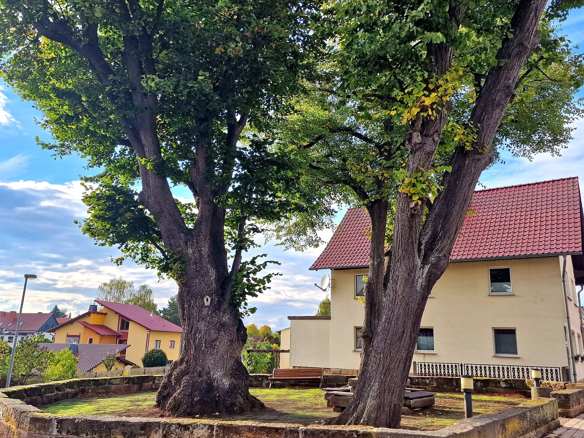 Photo showing: Die Linden befinden sich auf dem Dorfanger zu Günterode , Heilbad Heiligenstadt