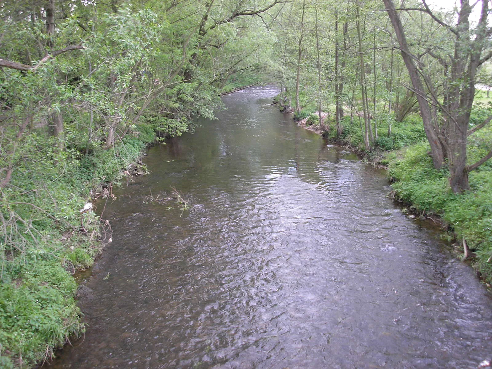 Photo showing: Die Ilm in Dörnfeld (Ilm-Kreis, Thüringen).