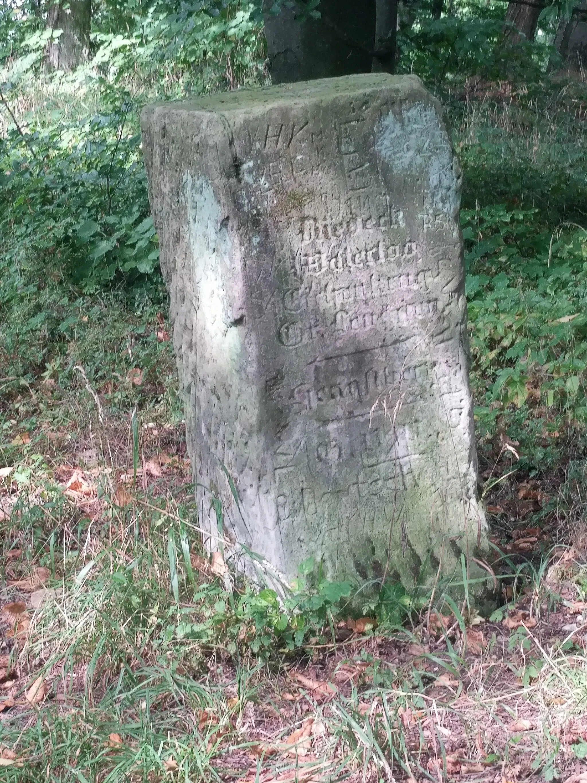 Photo showing: Ein Wegweiserstein auf dem Gipfel des Kronenberg, auf dem sich ehemals die Burg Alte Niedeck befand