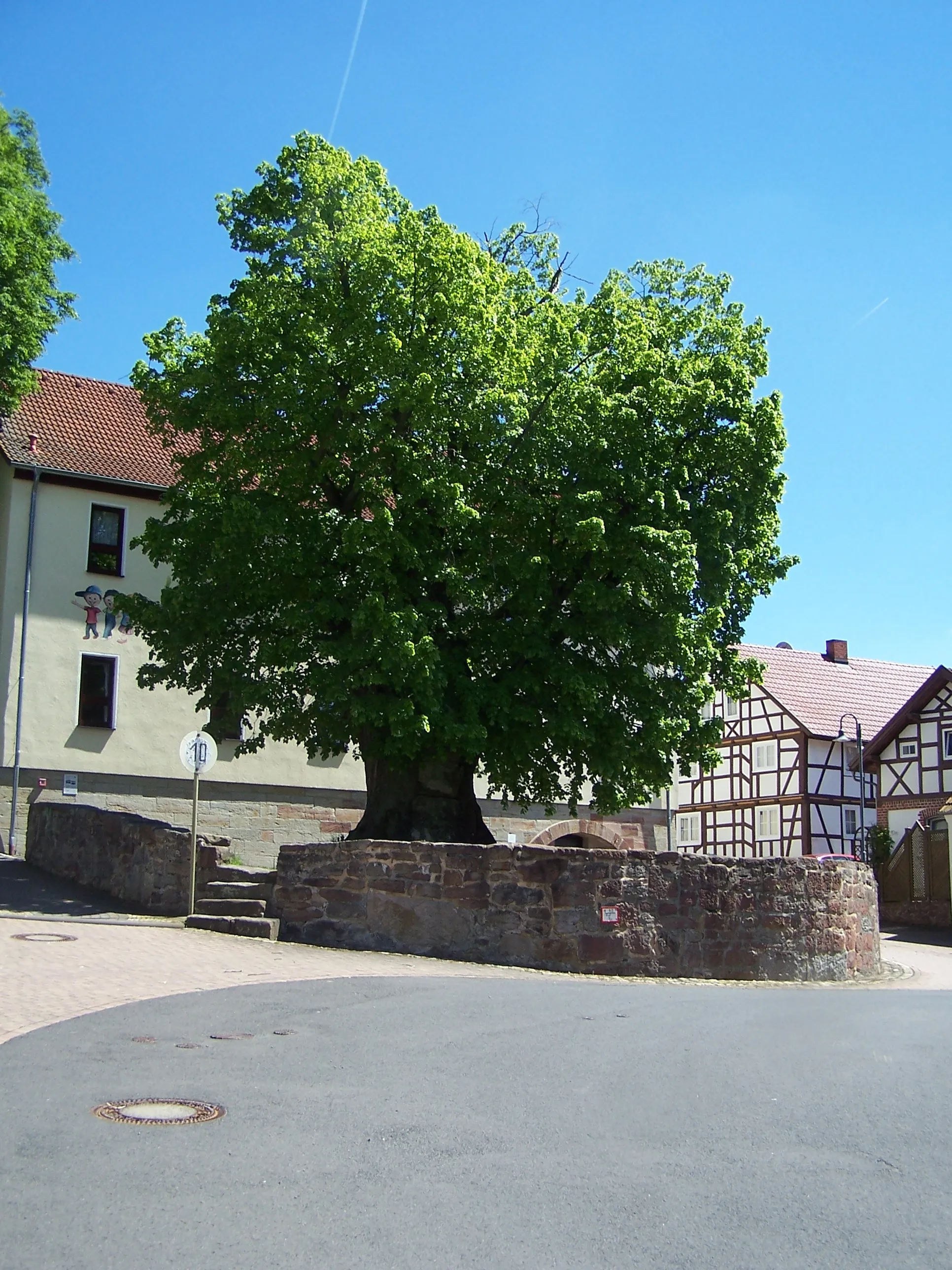 Photo showing: Der Anger mit Lindenbaum in Oechsen.