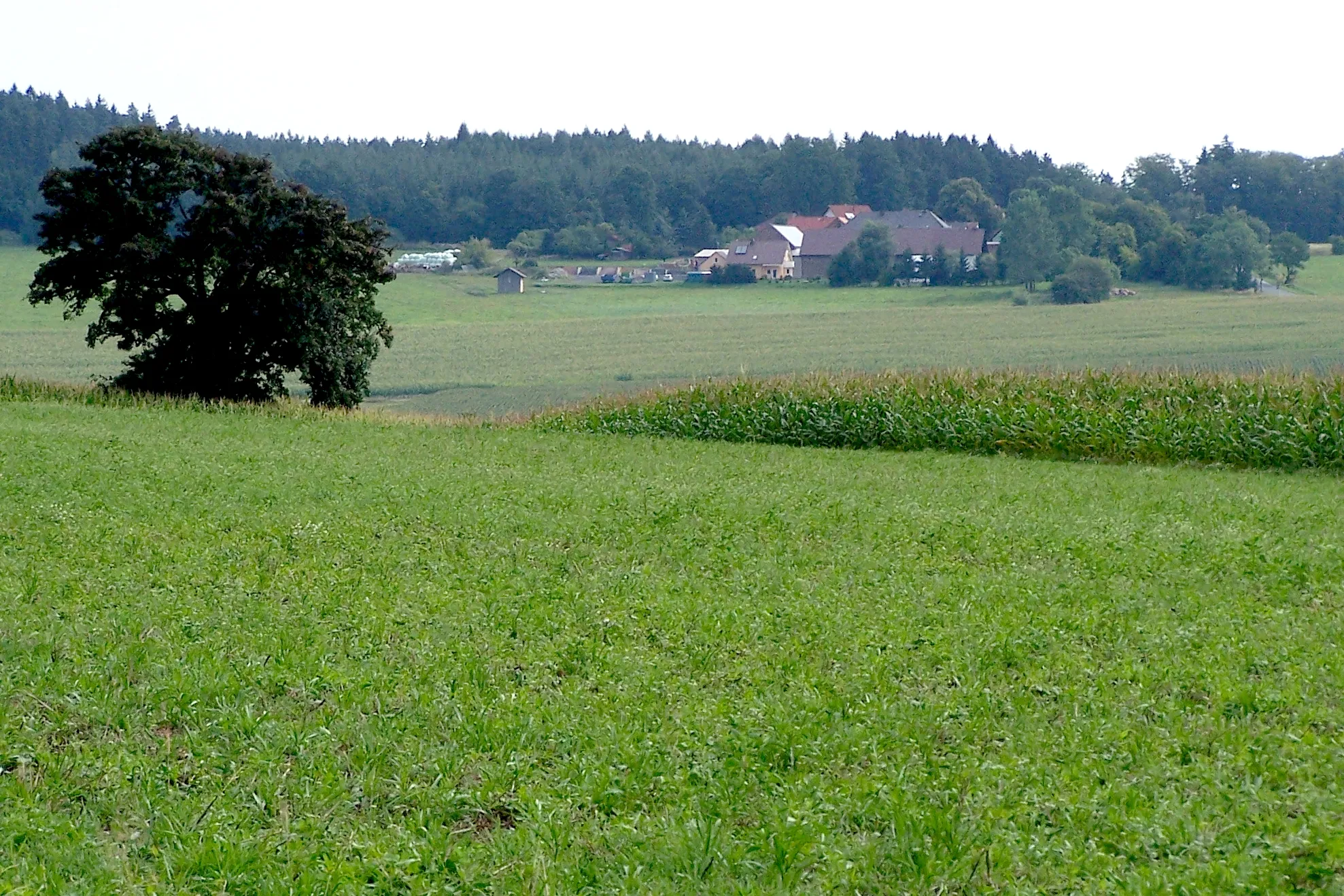 Photo showing: Blick von Gehaus zum Ortsteil Hohenwart.