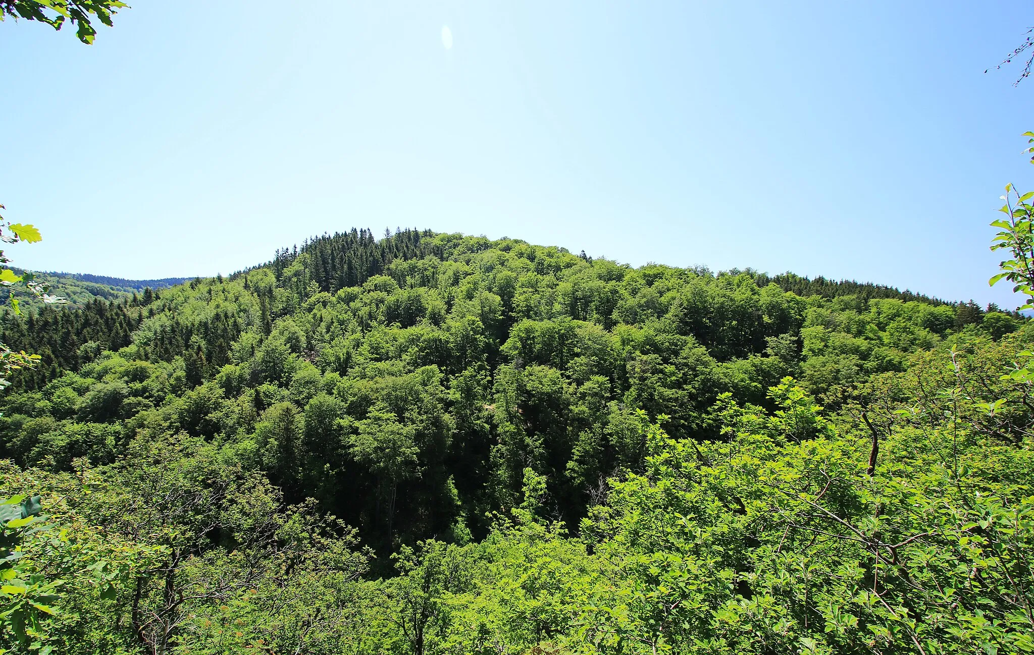 Photo showing: Blick von der Teufelskanzel (Rundwanderweg um Trusetaler Wasserfall)  in Thüringen.