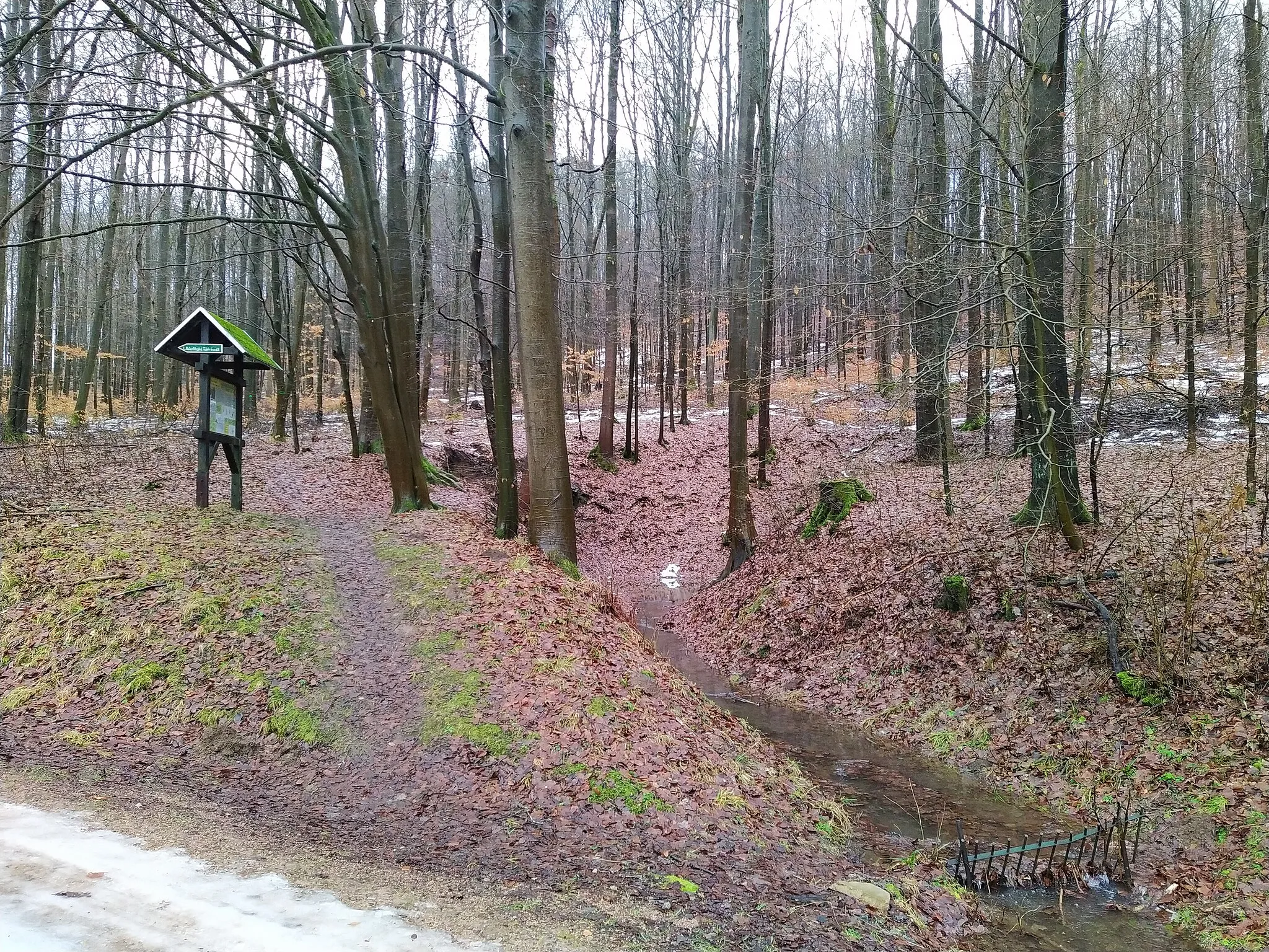 Photo showing: Getränksloch am Burgberg. Nach langer Trockenzeit im Februar 2021 wieder aktiv.