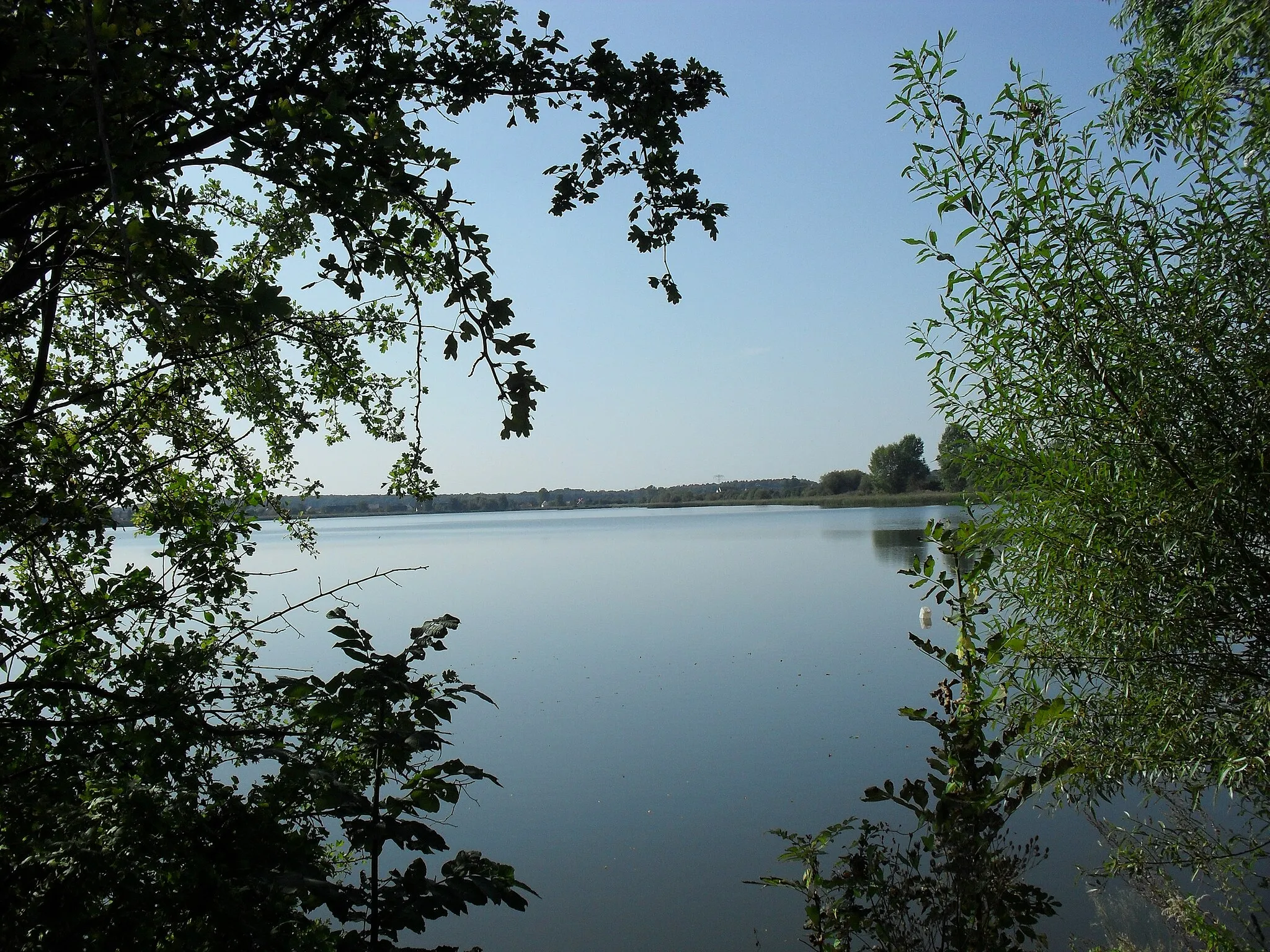 Photo showing: Naturschutzgebiet "Eschefelder Teiche", Grossteich