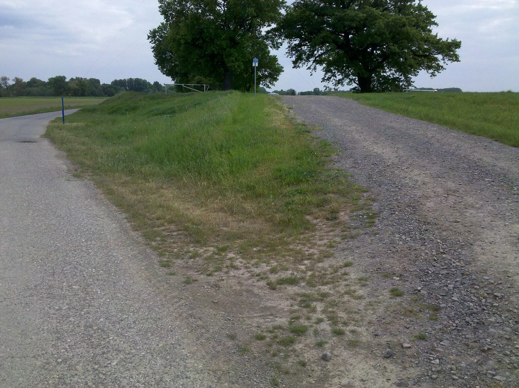 Photo showing: Elsterradweg begleitender Deichverteidigungsweg bei Wiederau im Mai 2016