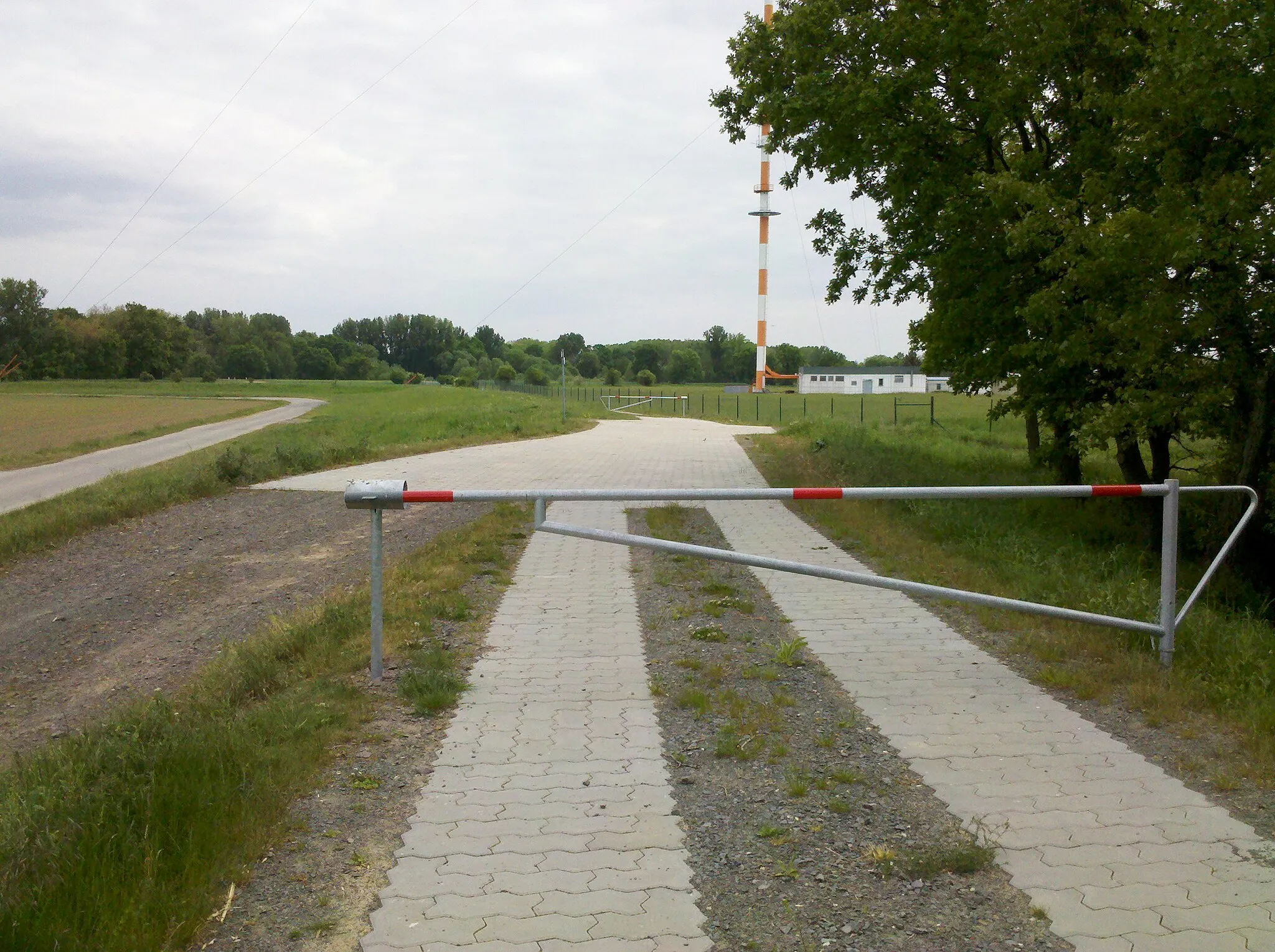Photo showing: Elsterradweg begleitender Deichverteidigungsweg bei Wiederau im Mai 2016