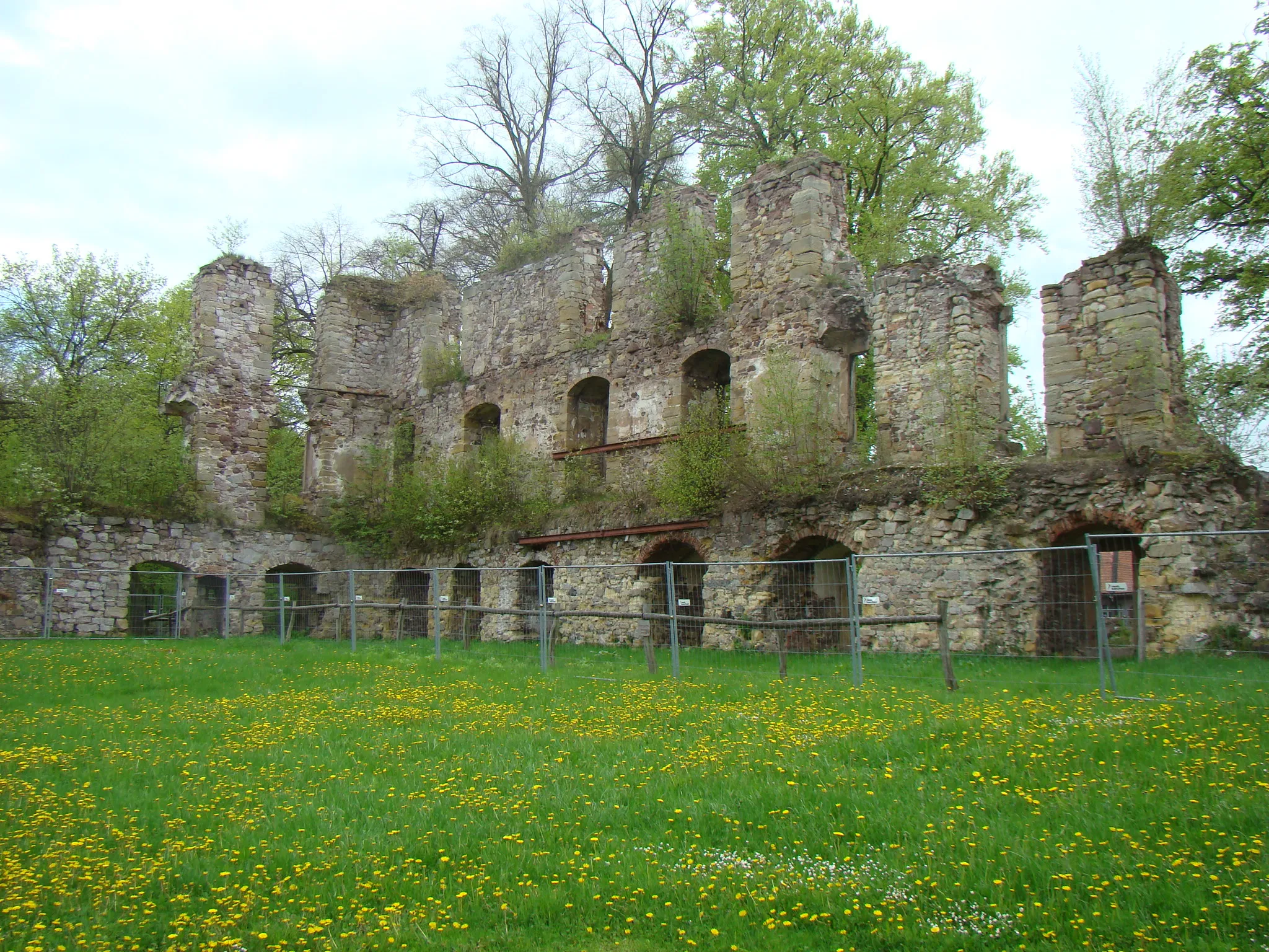 Photo showing: Schlossruine Gehren