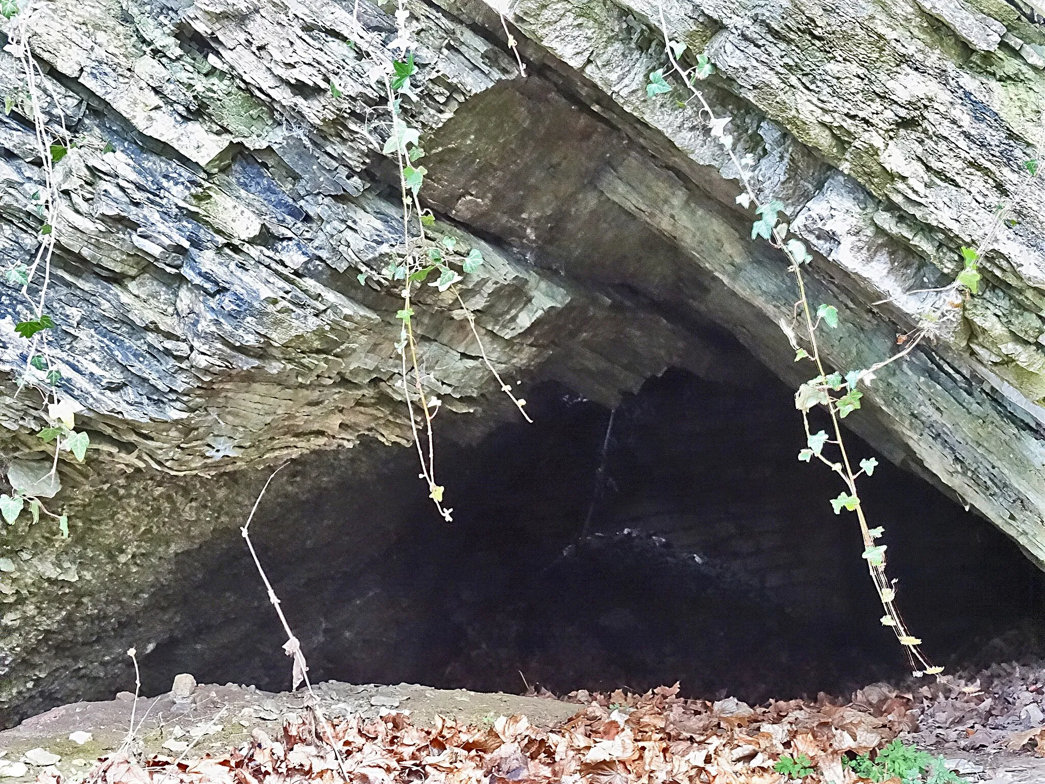 Photo showing: Eiskellergrotte im Muschelkalk der Finne-Störung in Bad Sulza. Die ca. 40 m tiefe künstliche Höhle wurde als Lagerraum für Eisblöcke der nahen Ilm angelegt und im 2.WK als Luftschutzbunker genutzt.