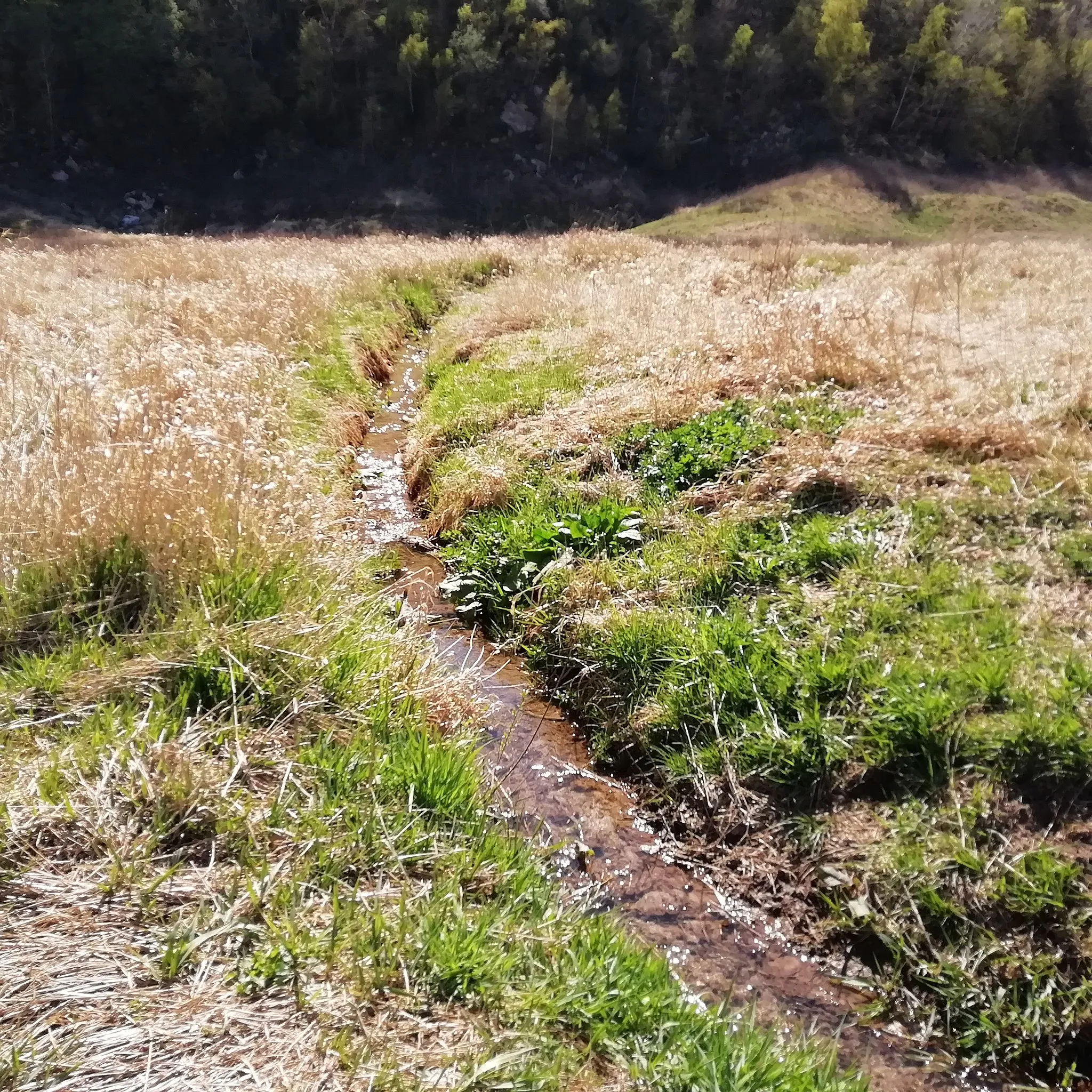 Photo showing: Lauf des Glasebachs im Bauerngraben. Das Foto entstand im niederschlagsarmen April 2019. Unweit dieser Stelle versickert der Bach.