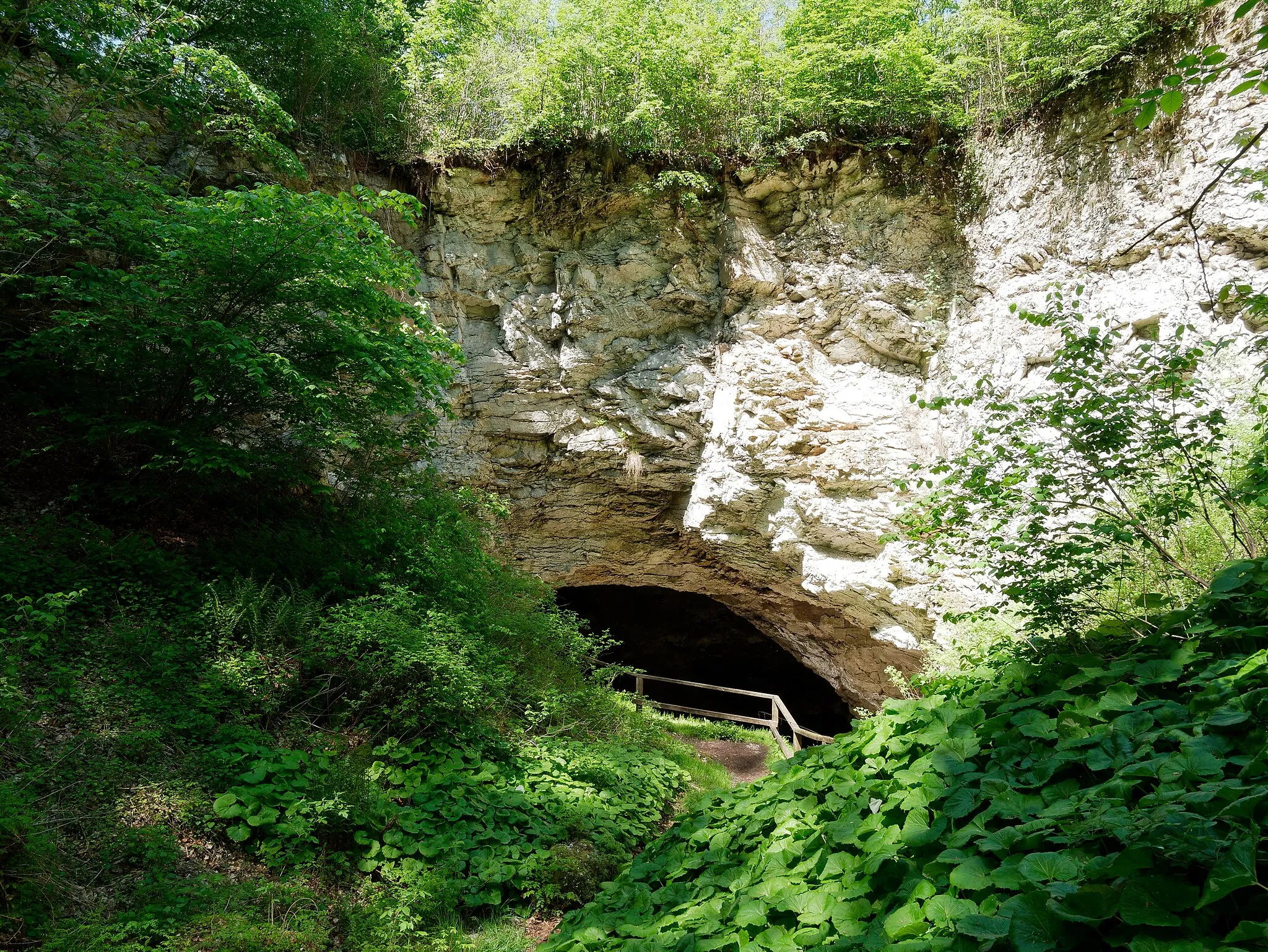 Photo showing: Ein Foto des Naturdenkmals Kelle im Südharzer Gipskarst. Dieses befindet sich in der Nähe von Appenrode.