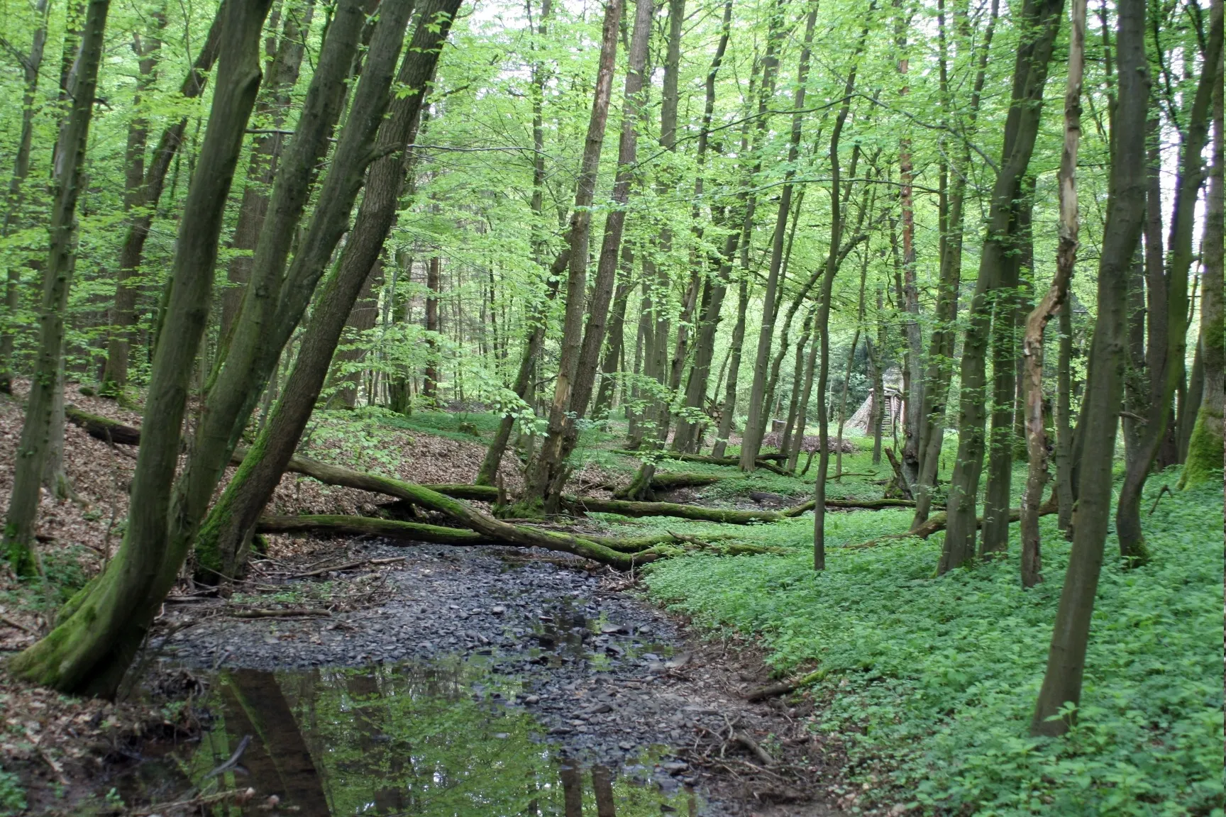 Photo showing: Die Ichte zwischen Nüxei (Bad Sachsa, Niedersachsen) und Mackenrode (Thüringen)