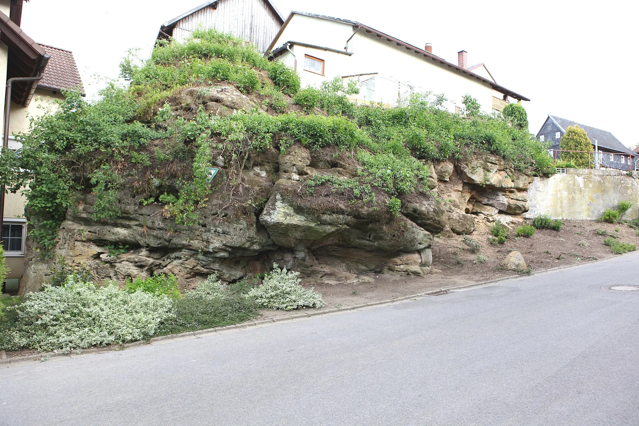 Photo showing: Blumenrod, An der Kehr; Naturdenkmal und Geotop "Ehemaliger Steinbruch An der Kehr in Blumenrod"