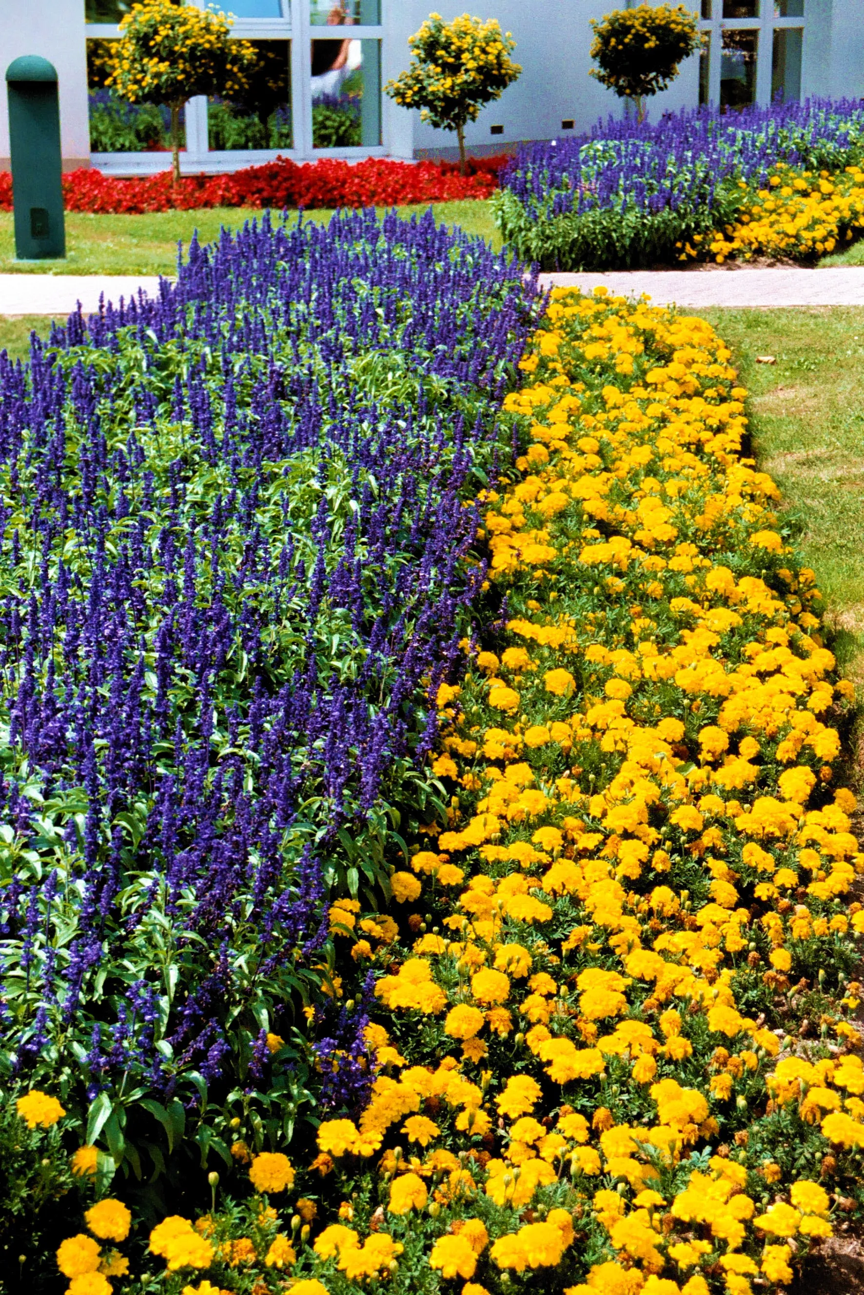 Photo showing: Bad Klosterlausnitz, flower bed in front of the Moritz Klinik