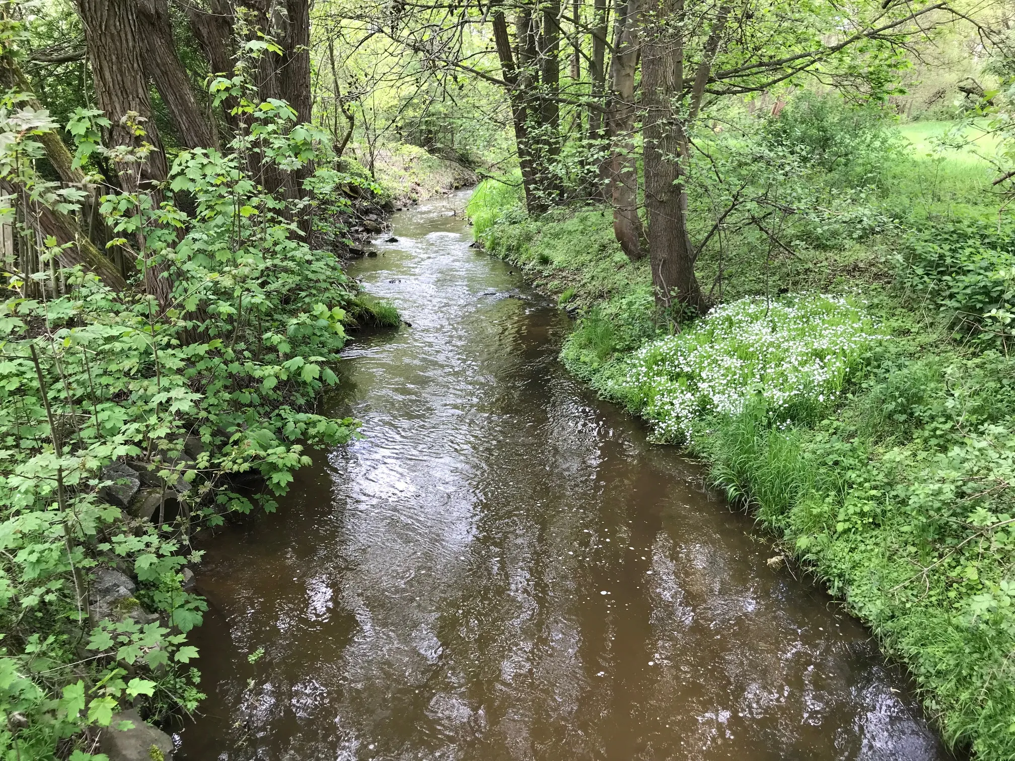 Photo showing: Bachlauf