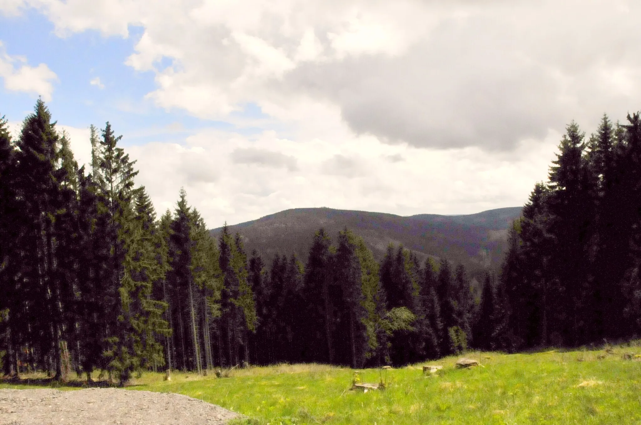 Photo showing: Thüringer Wald, am Wanderweg Mönchhof-Schöffenhaus, im Hintergrund der Kickelhahn