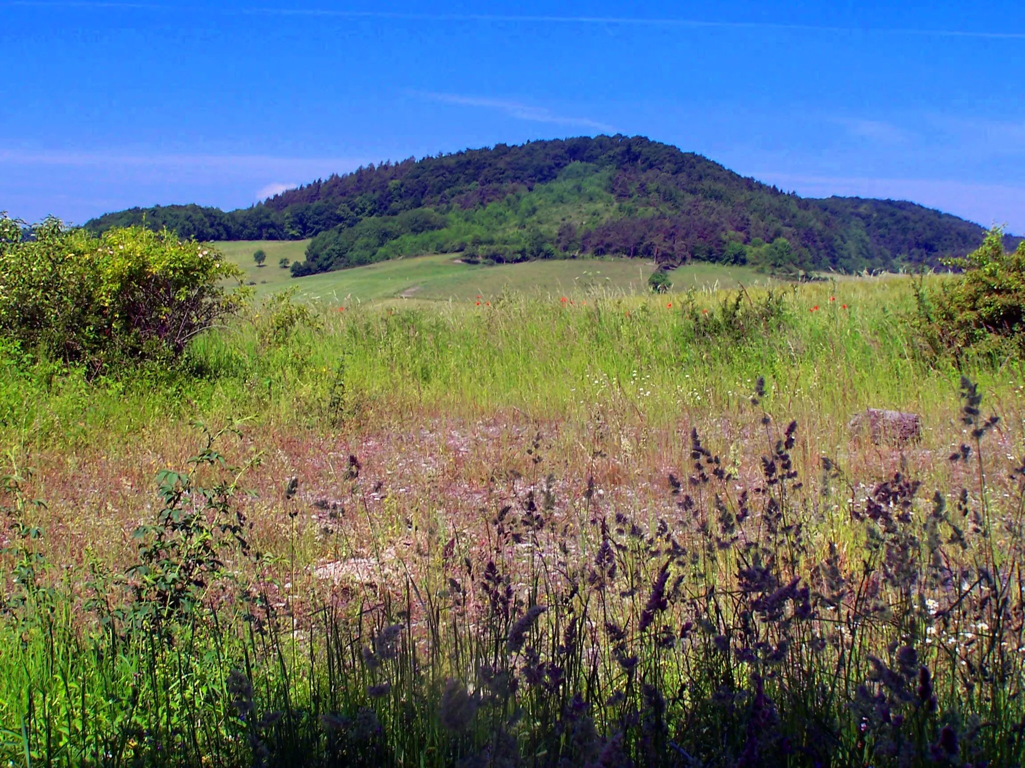 Photo showing: Germany - Former Border between East and West - View NNE (Blick zum Stafelsberg)