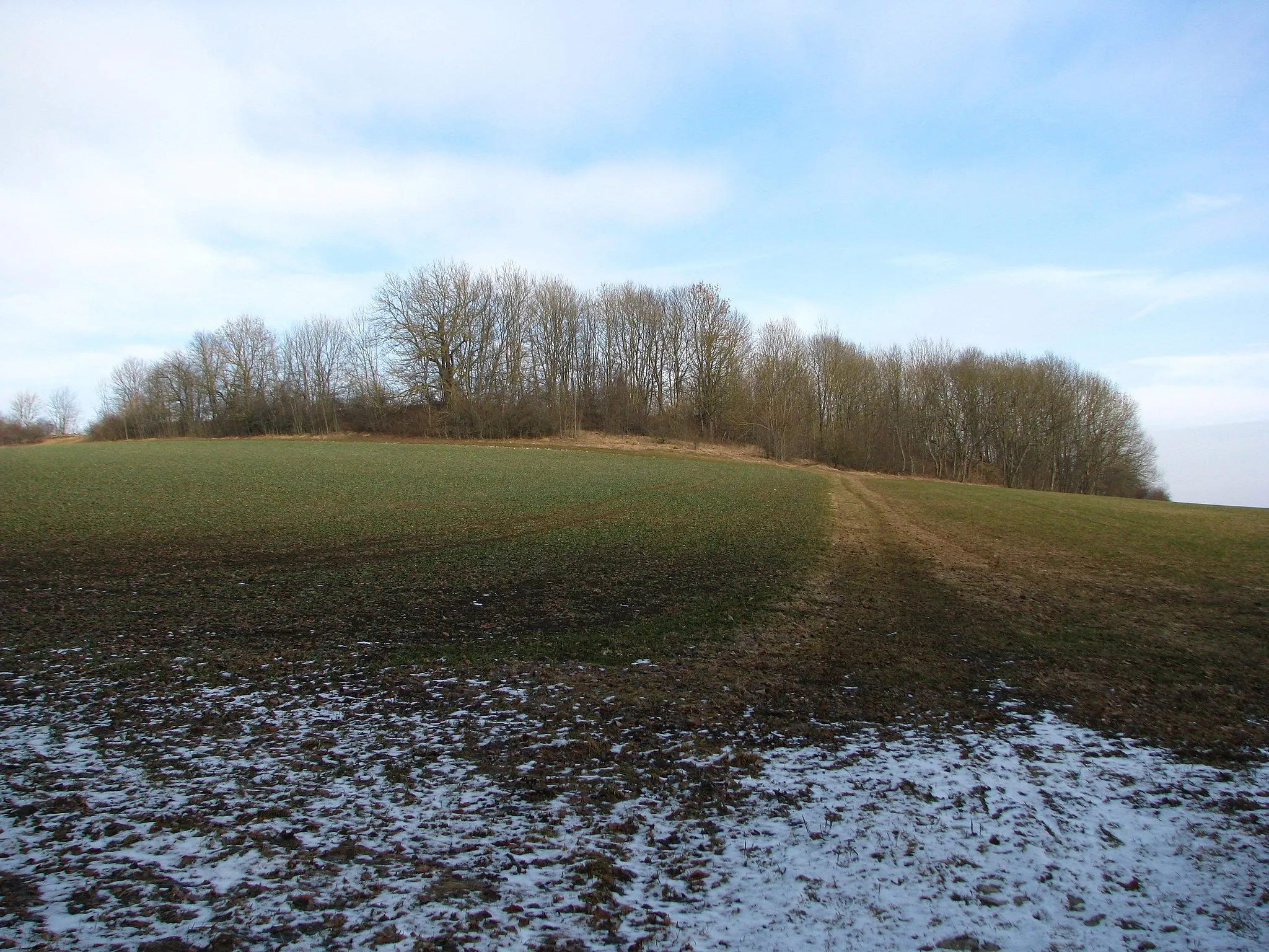 Photo showing: Der Eigenrieder Burgberg (489,1 m) vom Mühlhäuser Landgraben aus gesehen.