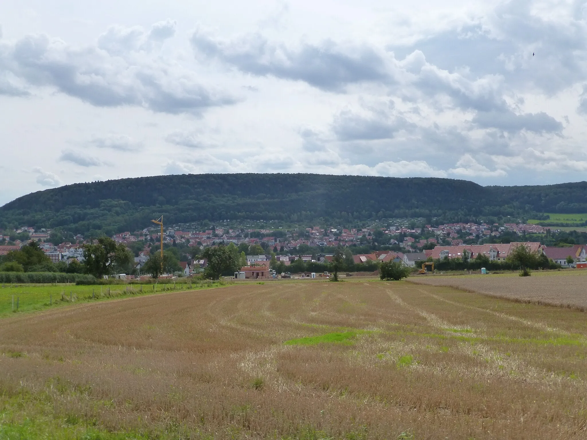 Photo showing: Blick über den westlichen Teil von Heiligenstadt zum Iberg