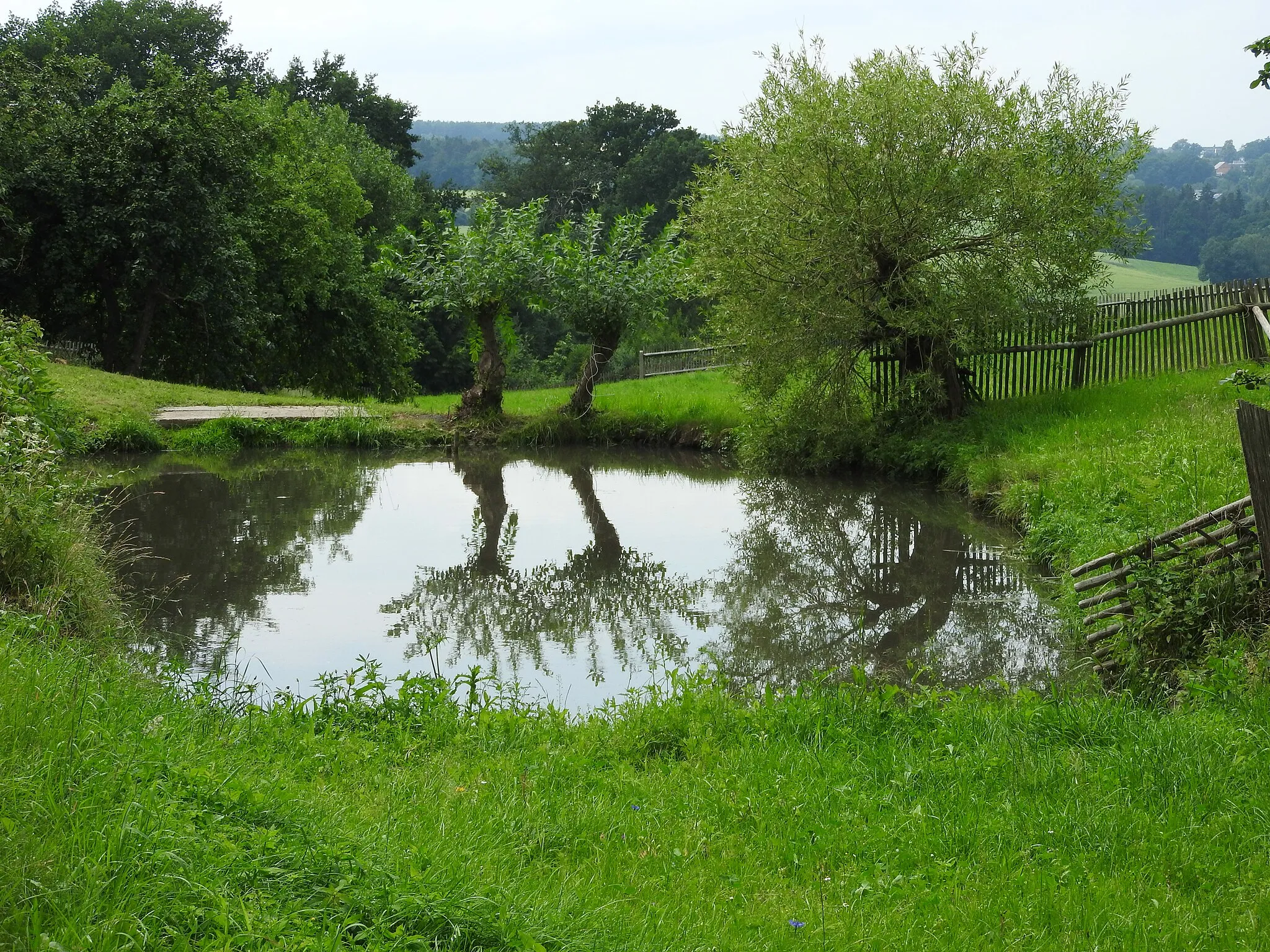 Photo showing: Teich in Hainsberg, Langenwetzendorf, Thüringen
