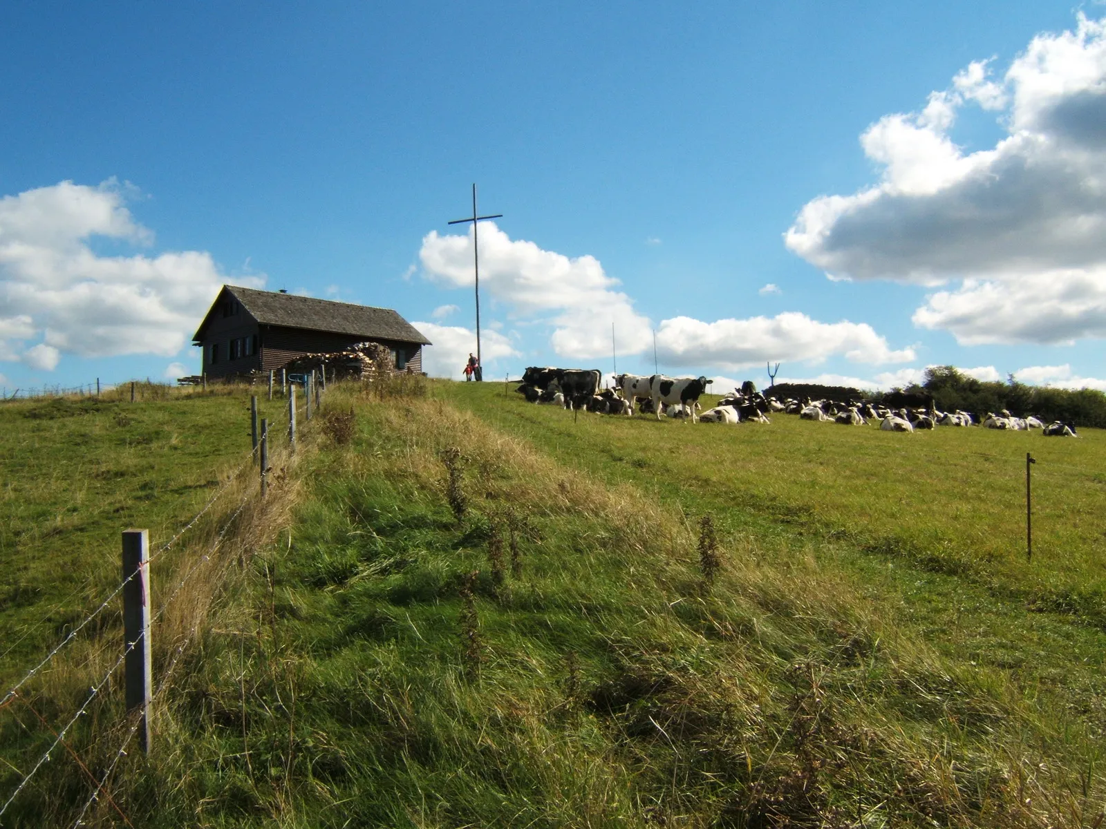 Photo showing: Kuhweide an der Nordwestseite des Gläserbergs