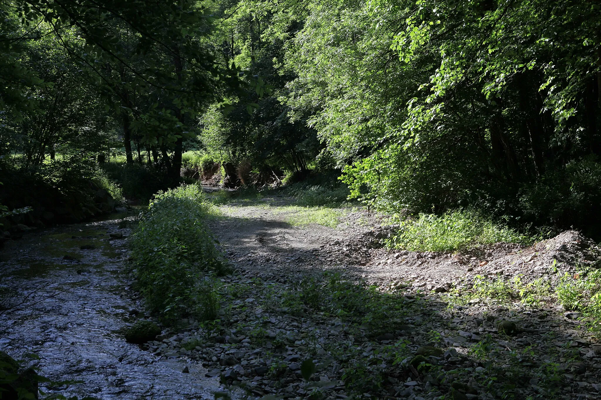 Photo showing: An der Grümpen, spätmittelalterliche Goldwäscherei in Selsendorf, OT von Schalkau