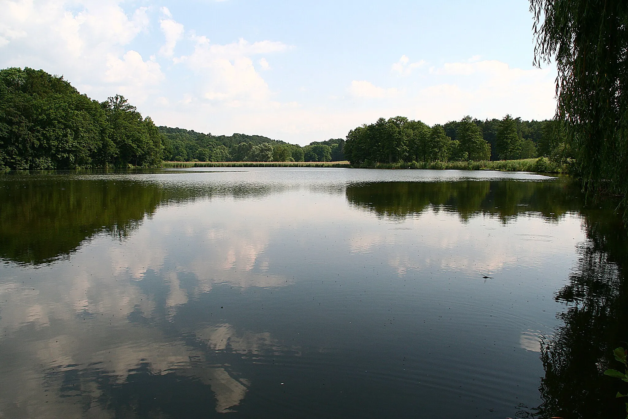 Photo showing: Thiershäuser Teiche bei Renshausen