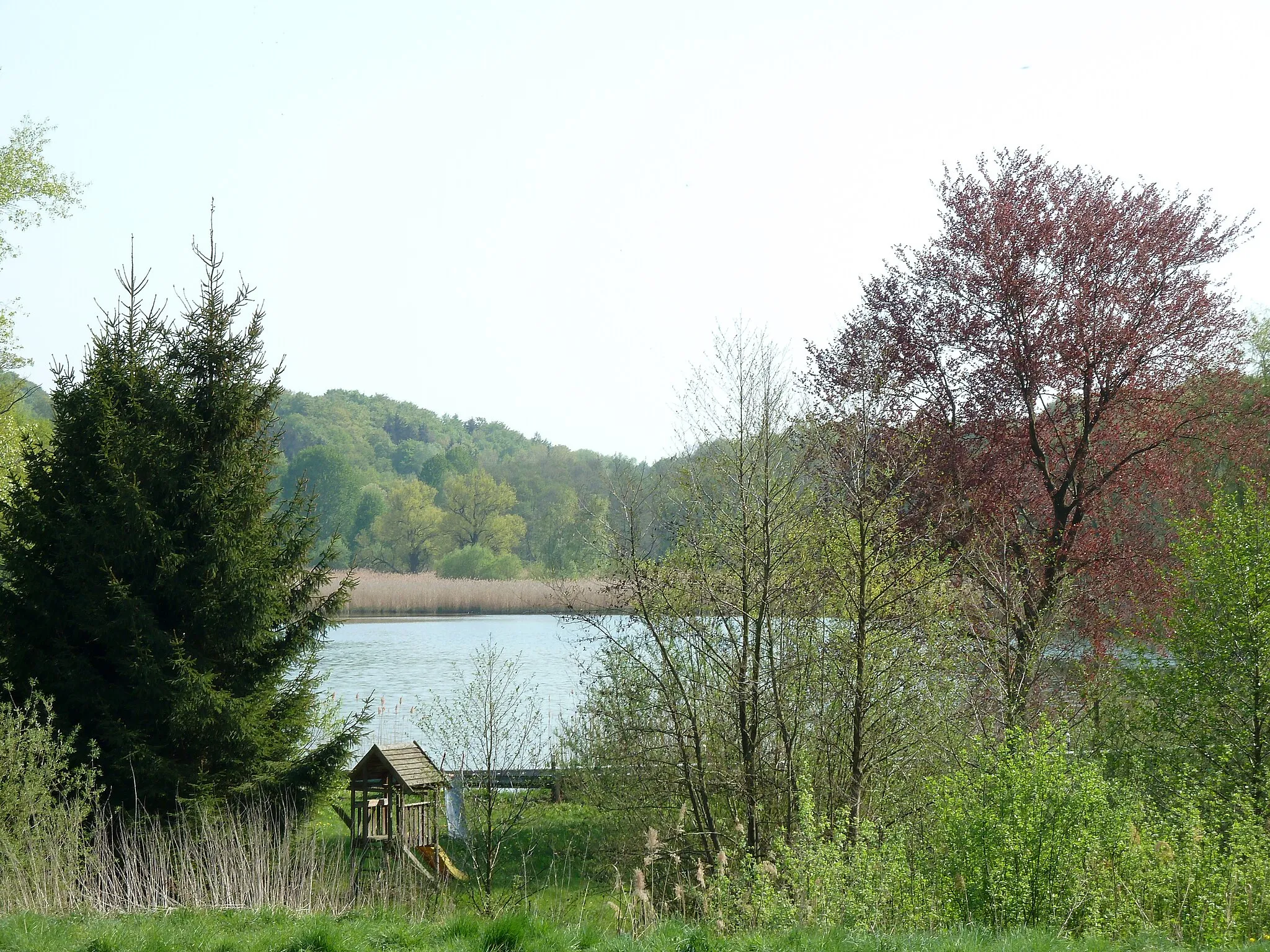 Photo showing: Einer der Thiershäuser Teiche in Thiershausen bzw. Groß Thiershausen zwischen Renshausen und Gillersheim