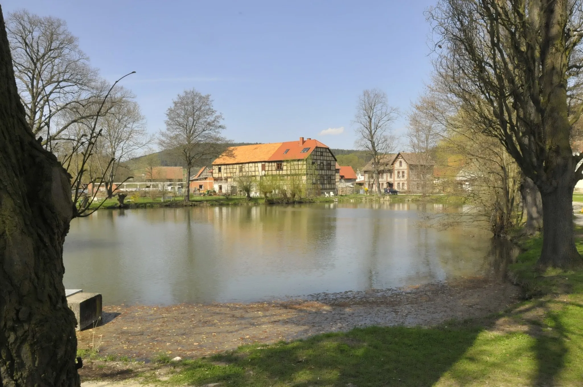 Photo showing: Behringen, Schlossteich