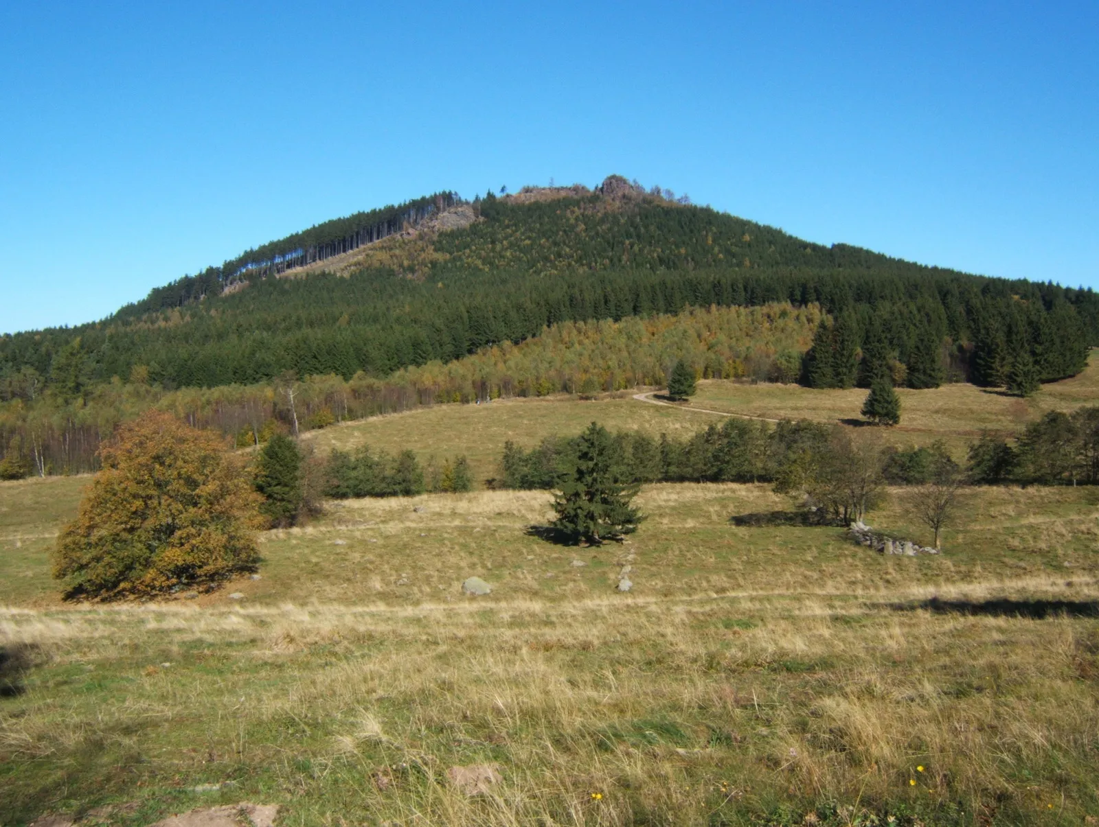 Photo showing: Der Große Hermannsberg, Thüringer Wald, Deutschland
