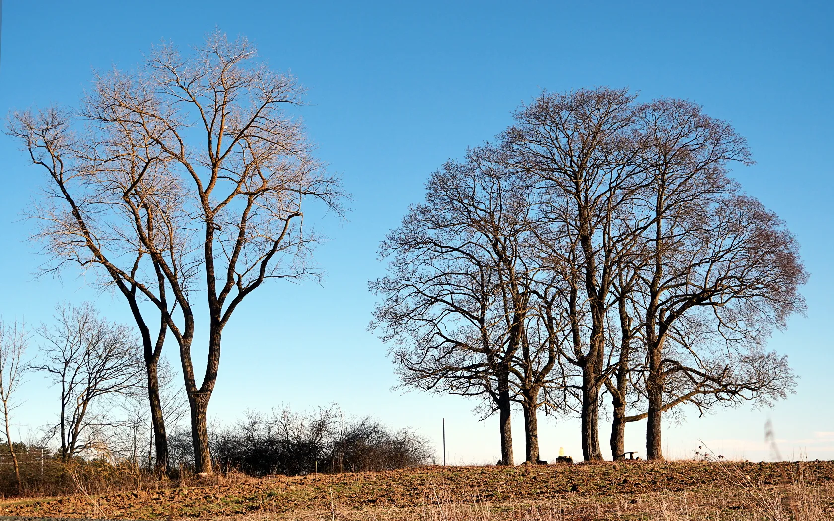 Photo showing: Henriettenplatz bei Meiningen / Dreißigacker