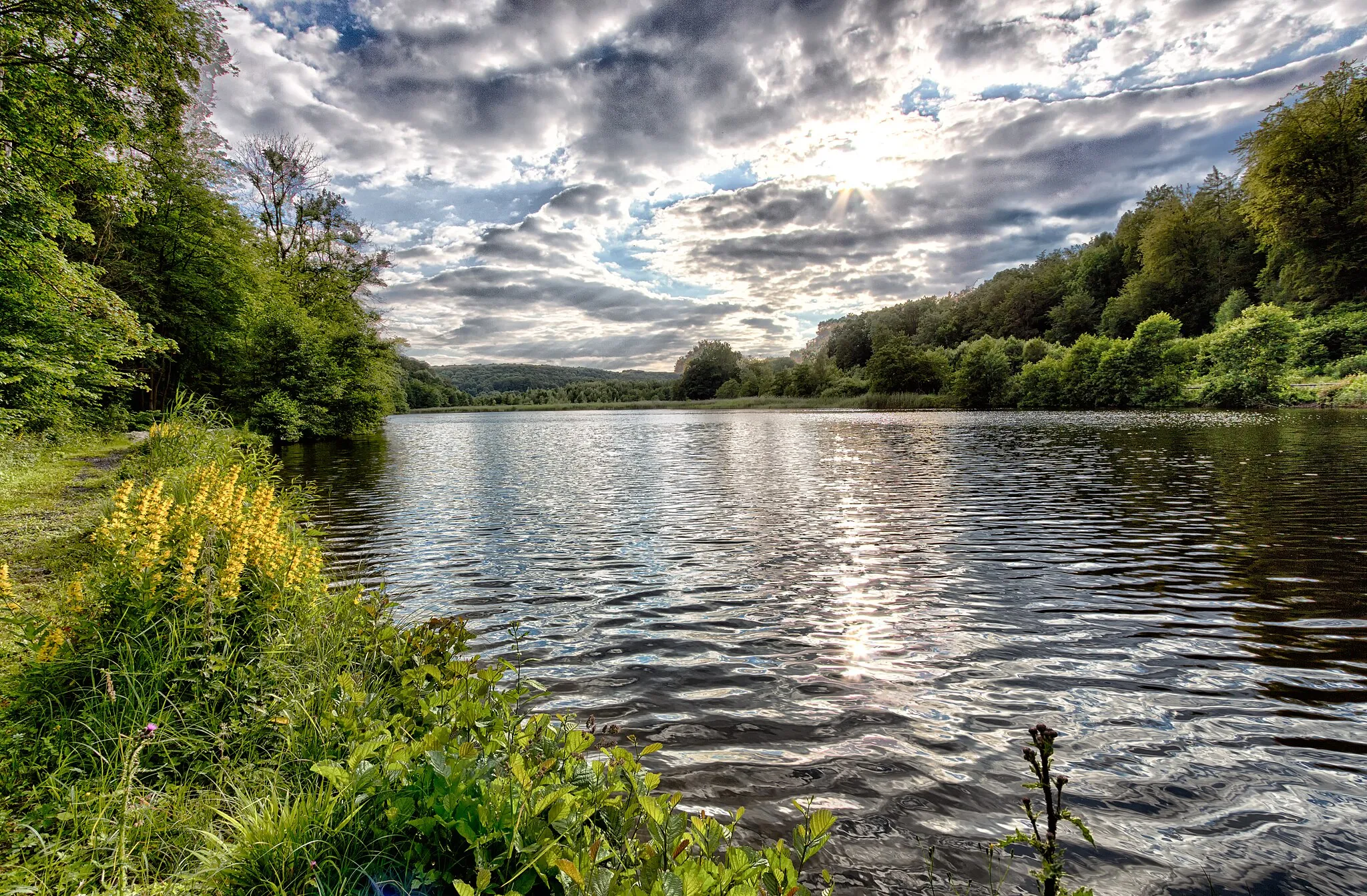 Photo showing: Blick auf den Itelteich bei Walkenried, Niedersachsen, Deutschland.