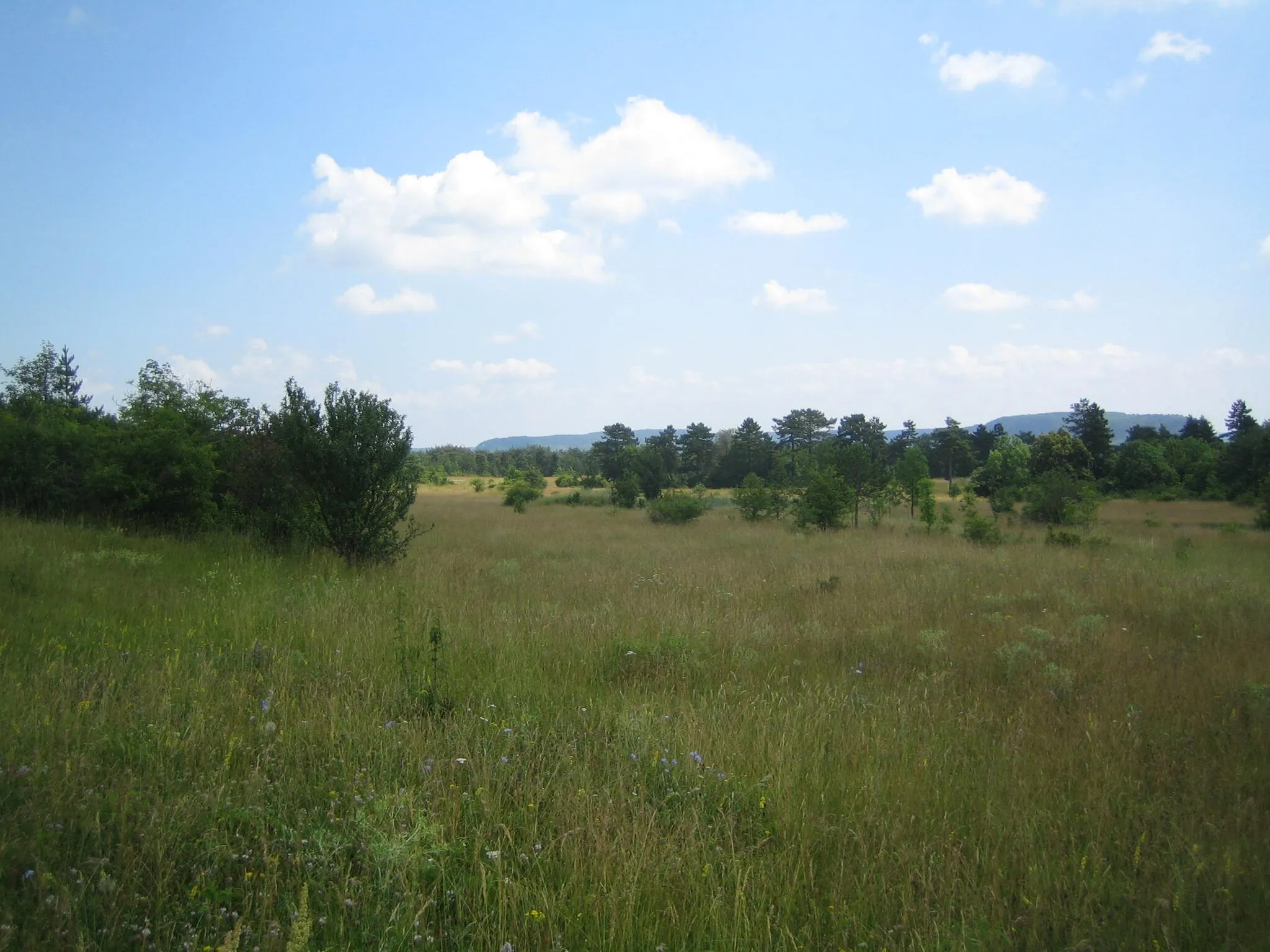 Photo showing: South-eastern part of the battlefield of 1806 (Napoleon vs. Prussians) in Jena (Germany)